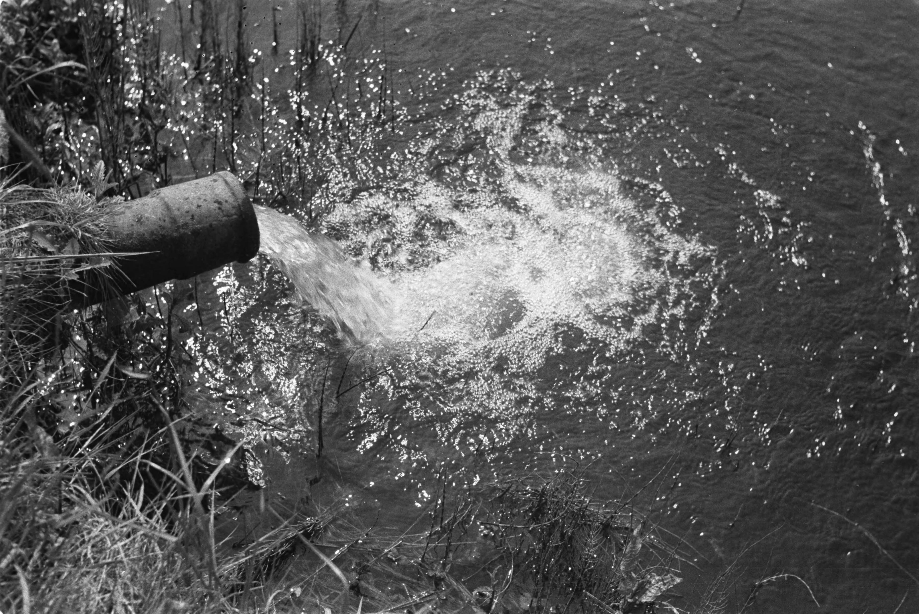 Fotocollectie Nederlandse Heidemaatschappij — afvoer van broedvijvers — Foto: Fotograaf Onbekend / Heidemij. Licentie: Set B: Rechtenvrij / Publiek Domein. Bron: Nationaal Archief. http://hdl.handle.net/10648/ae89def4-d0b4-102d-bcf8-003048976d84