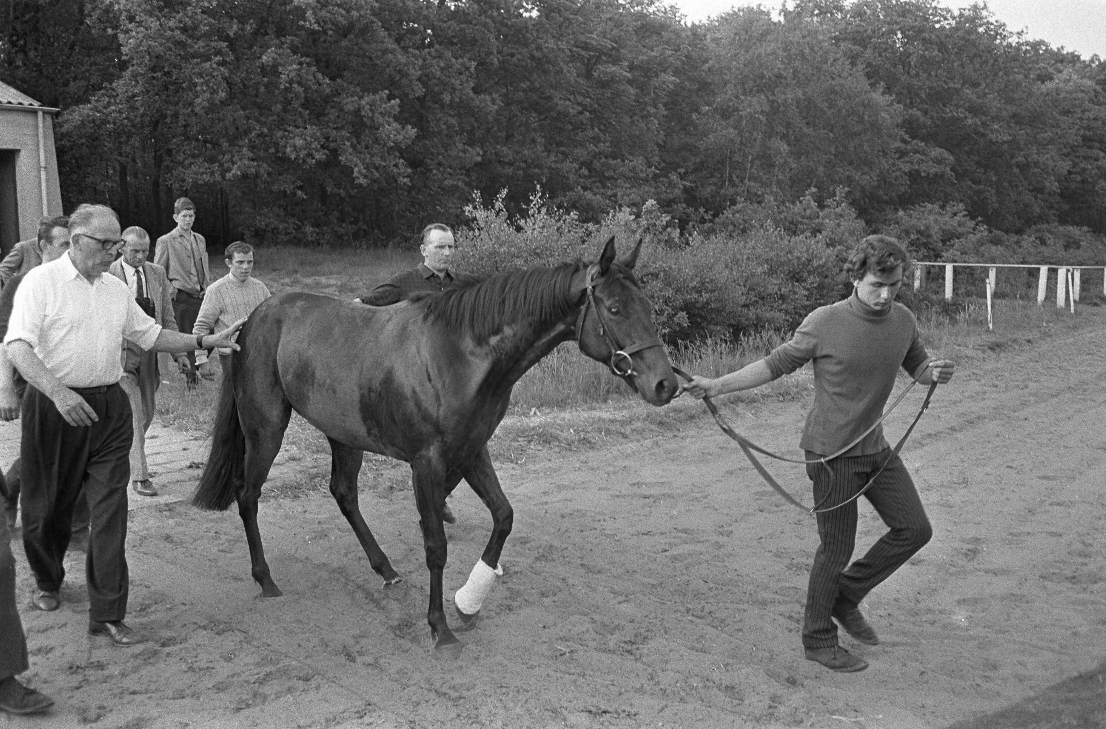 Fotocollectie Anefo — Renboxen op Duidigt voor eerst in gebruik, paard brak been op Duindigt — Foto: Koch, Eric / Anefo. Licentie: Set B: Rechtenvrij / Publiek Domein. Bron: Nationaal Archief. http://hdl.handle.net/10648/aaedeca4-d0b4-102d-bcf8-003048976d84