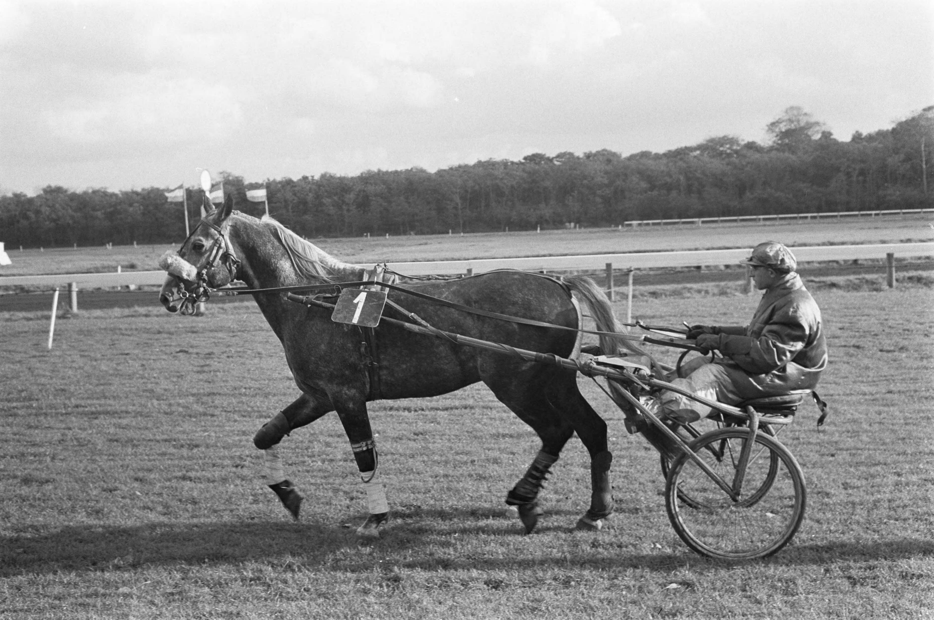 Fotocollectie Anefo — Draverijen op Duindigt, de Nederland-Rusland prijs werd verreden. Winnaar Veterok met pikeur Ivan Popelnoecka — Foto: Pot, Harry / Anefo. Licentie: Set B: Rechtenvrij / Publiek Domein. Bron: Nationaal Archief. http://hdl.handle.net/10648/aa1d8e88-d0b4-102d-bcf8-003048976d84