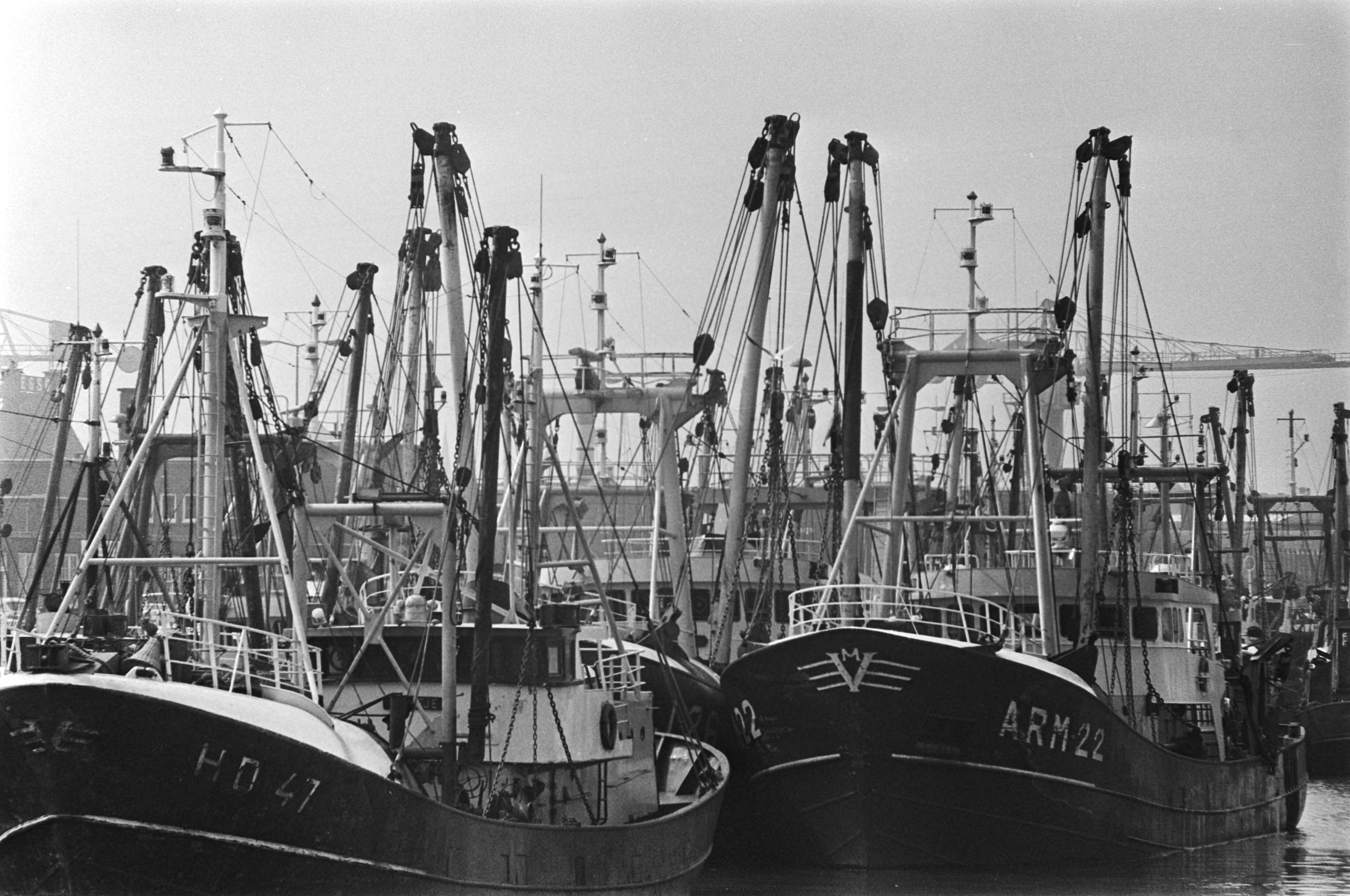Fotocollectie Anefo — Protest zeevissers tegen quotering en vangstverdeling, Scheveningse haven vol met vissersboten — Foto: Peters, Hans / Anefo. Licentie: Set B: Rechtenvrij / Publiek Domein. Bron: Nationaal Archief. http://hdl.handle.net/10648/ac834690-d0b4-102d-bcf8-003048976d84