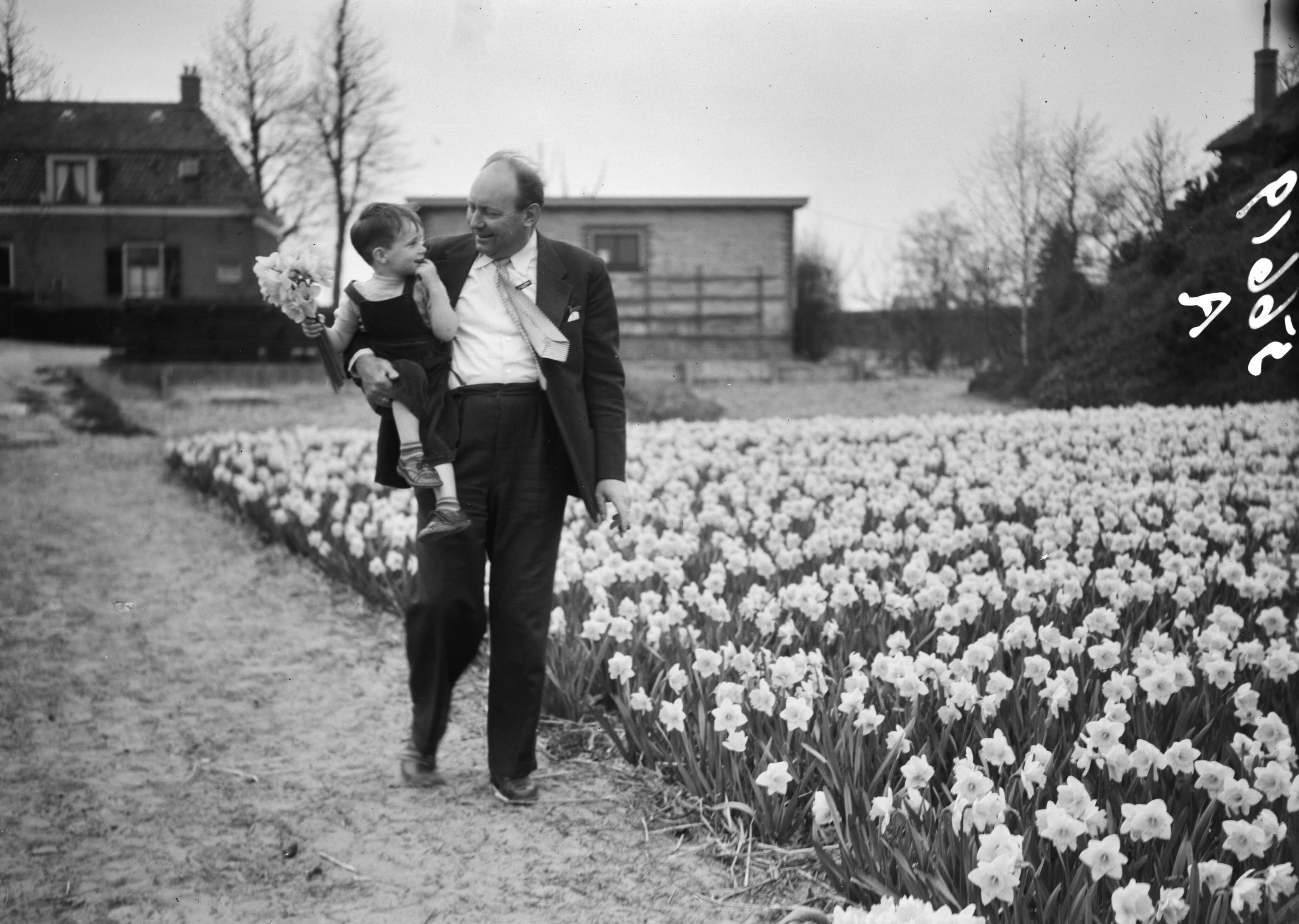 Fotocollectie Anefo — Opnamen familie Smulders Voorburg [man met zoon op de arm in narcissenveld] — Foto: Bilsen, Joop van / Anefo. Licentie: Set B: Rechtenvrij / Publiek Domein. Bron: Nationaal Archief. http://hdl.handle.net/10648/ad7bd314-d0b4-102d-bcf8-003048976d84