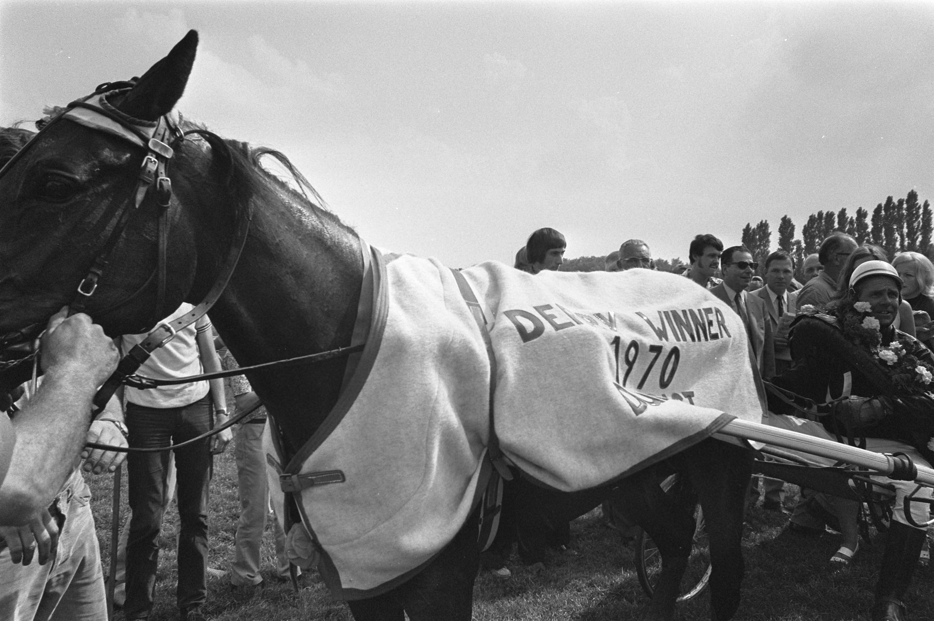 Fotocollectie Anefo — Derby voor dravers op Duindigt; winnaar "Ironie" met berijder M. Vergay — Foto: Mieremet, Rob / Anefo. Licentie: Set B: Rechtenvrij / Publiek Domein. Bron: Nationaal Archief. http://hdl.handle.net/10648/ab9e7402-d0b4-102d-bcf8-003048976d84