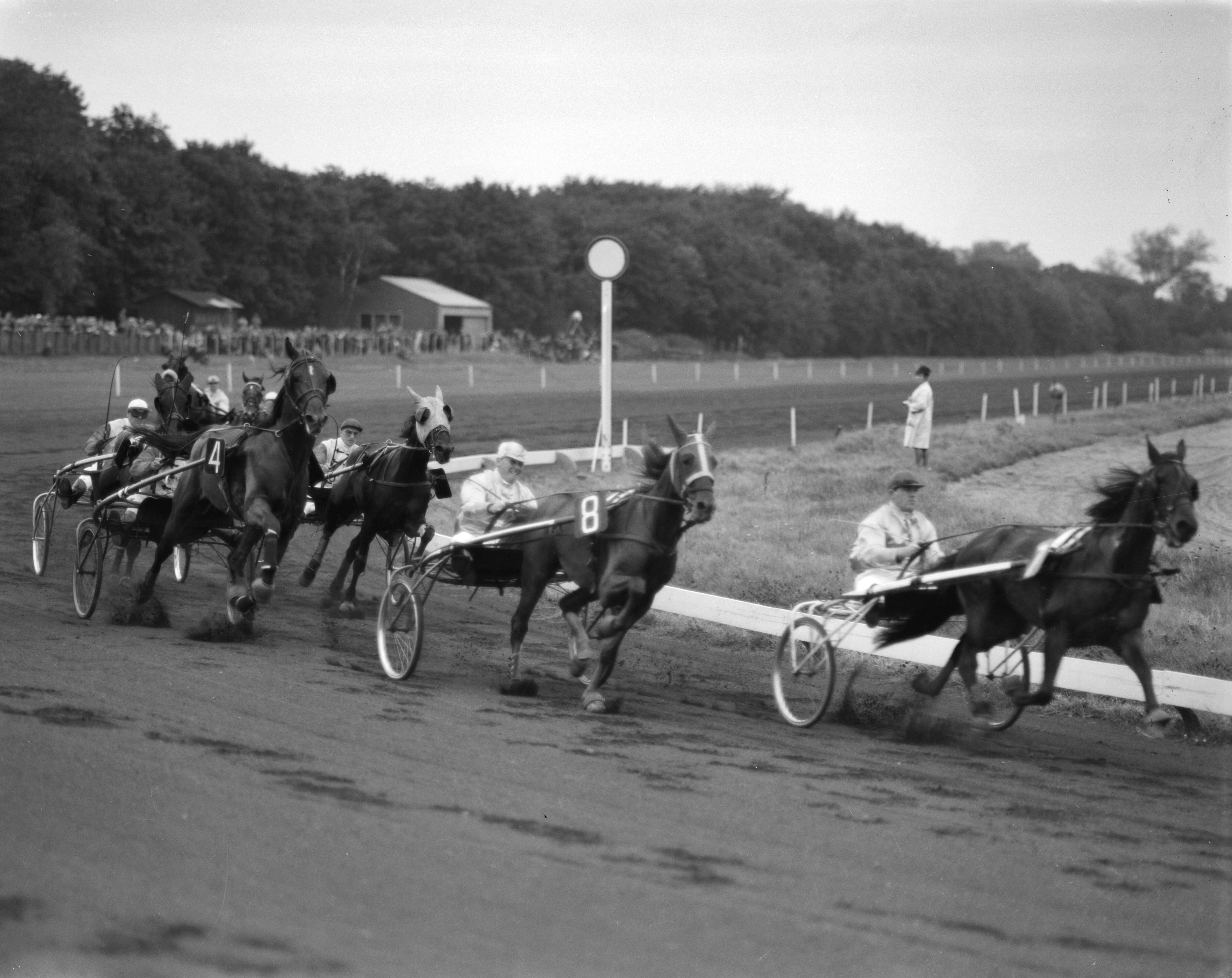 Fotocollectie Anefo — Nederland-Belgie-prijs (Draverijen te Duindigt), Astyanax (8), Troubadour (4), Albatros (5) en Hollandia (7) — Foto: Bilsen, Joop van / Anefo. Licentie: Set B: Rechtenvrij / Publiek Domein. Bron: Nationaal Archief. http://hdl.handle.net/10648/aa19886a-d0b4-102d-bcf8-003048976d84