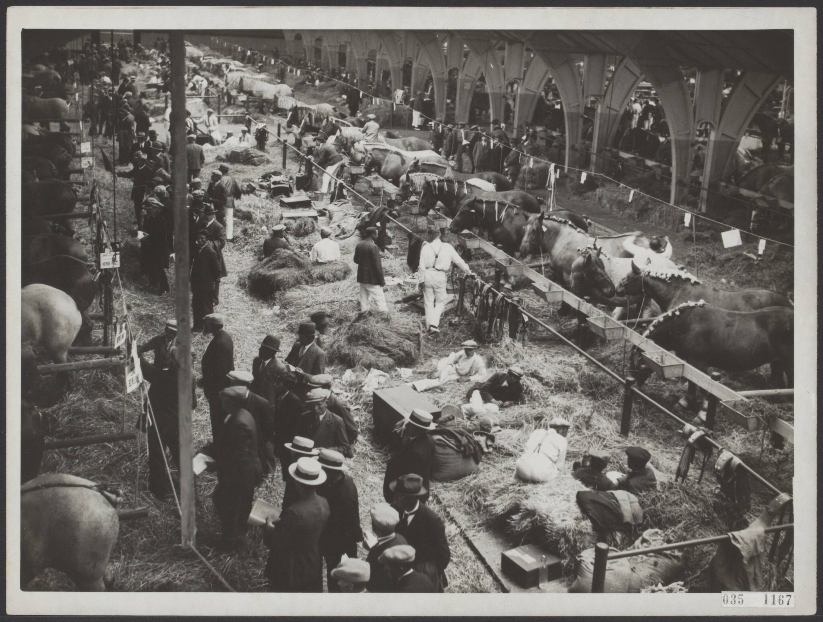 Fotocollectie Elsevier Binnenland — Nationale Trekpaarden Tentoonstelling in de Nieuwe Veehallen te 's-Hertogenbosch. De knechten van de paardeneigenaars slapen 's-nachts en eten overdag naast de kostbare paarden — Foto: N.V. Polygoon. Licentie: Set B: Rechtenvrij / Publiek Domein. Bron: Nationaal Archief. http://hdl.handle.net/10648/adeb72aa-d0b4-102d-bcf8-003048976d84