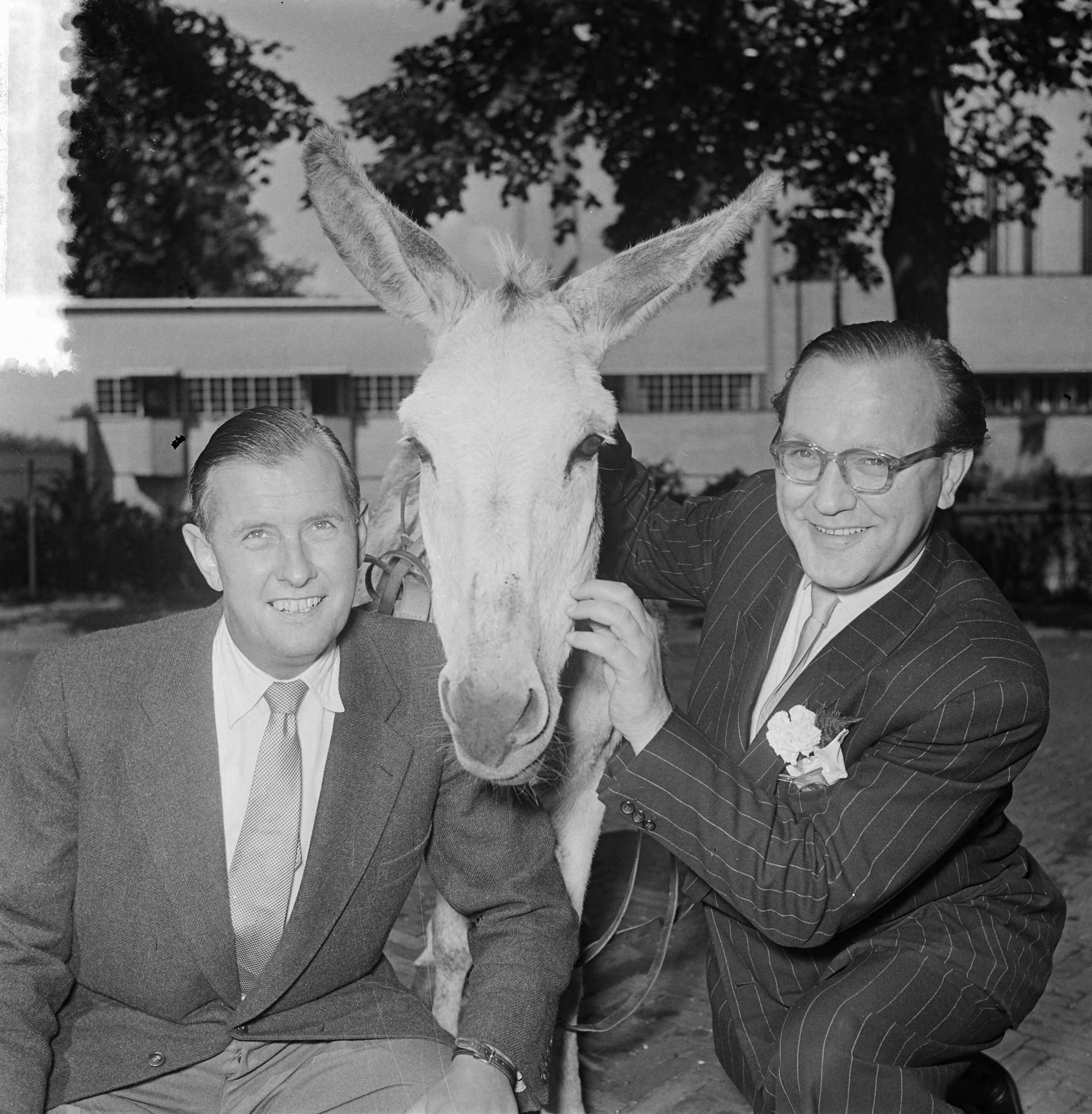 Fotocollectie Anefo — Ger de Roos (links) en Carel Briels poseren met een ezel in Hilversum — Foto: Noske, J.D. / Anefo. Licentie: Set B: Rechtenvrij / Publiek Domein. Bron: Nationaal Archief. http://hdl.handle.net/10648/a911fa06-d0b4-102d-bcf8-003048976d84