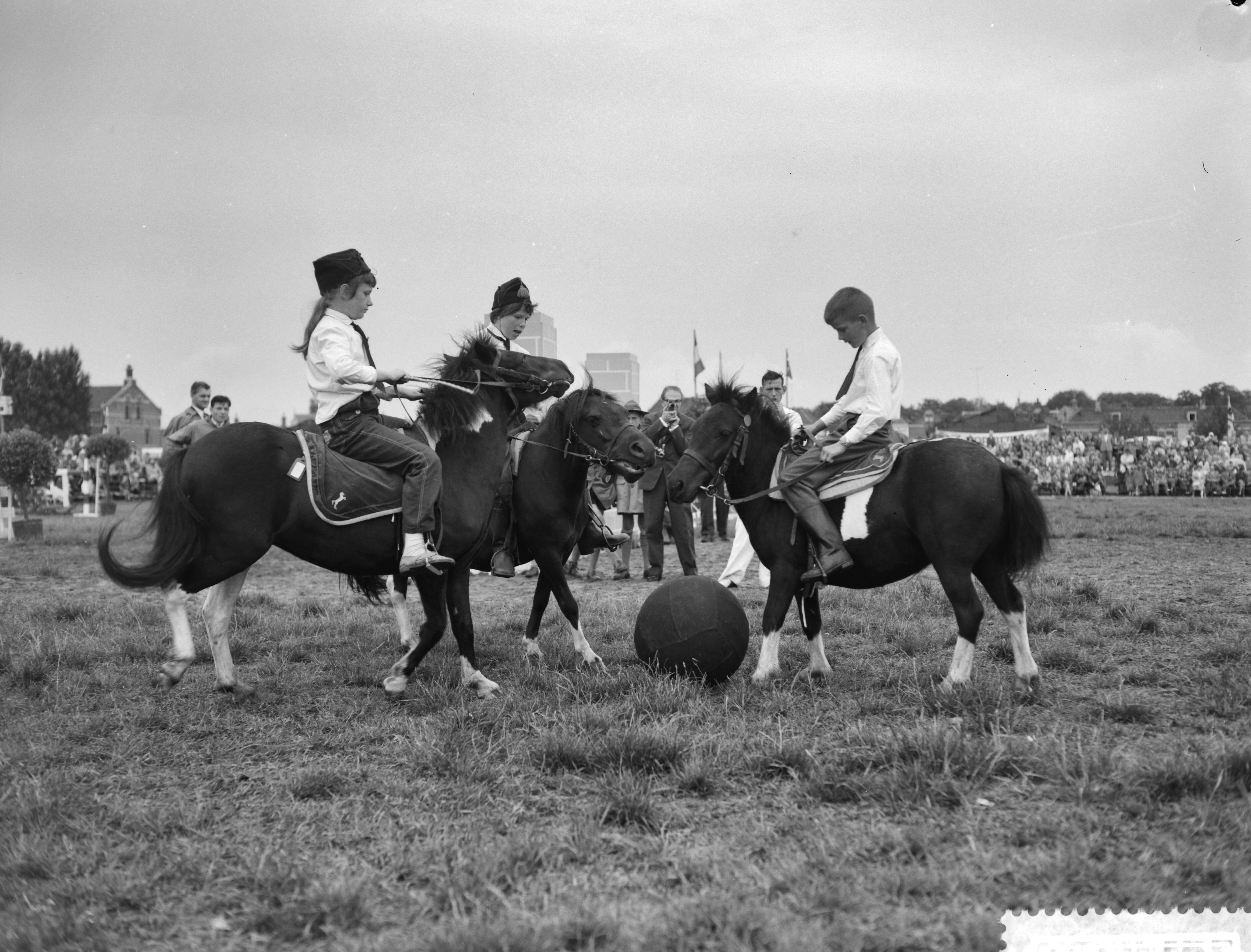Fotocollectie Anefo — Concours hippique te Breda. De landelijke rijvereniging Bemmel en Omstreden gaf een demonstratie "pony voetbal" — Foto: Rossem, Wim van / Anefo. Licentie: Set B: Rechtenvrij / Publiek Domein. Bron: Nationaal Archief. http://hdl.handle.net/10648/a9b59db4-d0b4-102d-bcf8-003048976d84