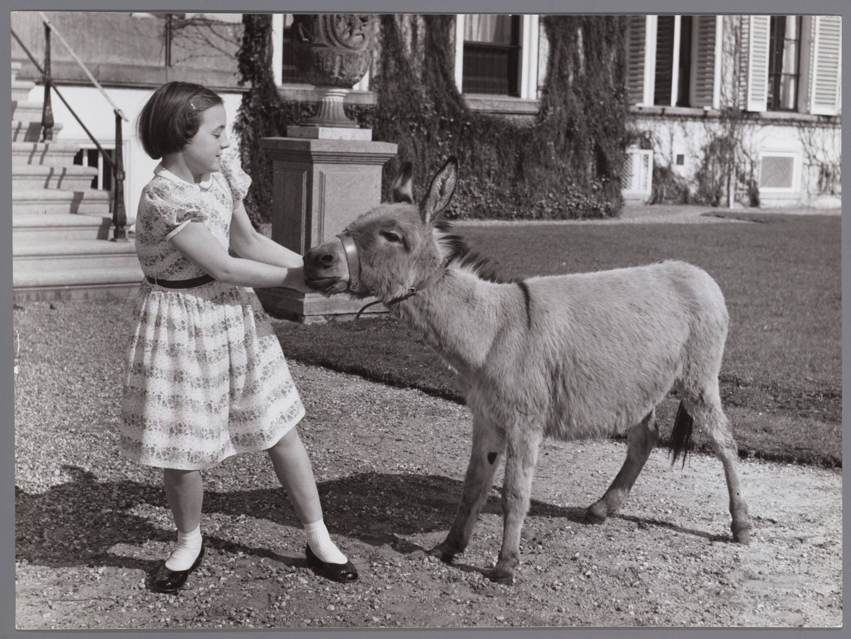 Fotocollectie RVD / Koninklijk Huis — Prinses Margriet met een ezel bij Paleis Soestdijk — Foto: Reijken, Tiemen van der / RVD. Licentie: Set B: Rechtenvrij / Publiek Domein. Bron: Nationaal Archief. http://hdl.handle.net/10648/afae6584-d0b4-102d-bcf8-003048976d84