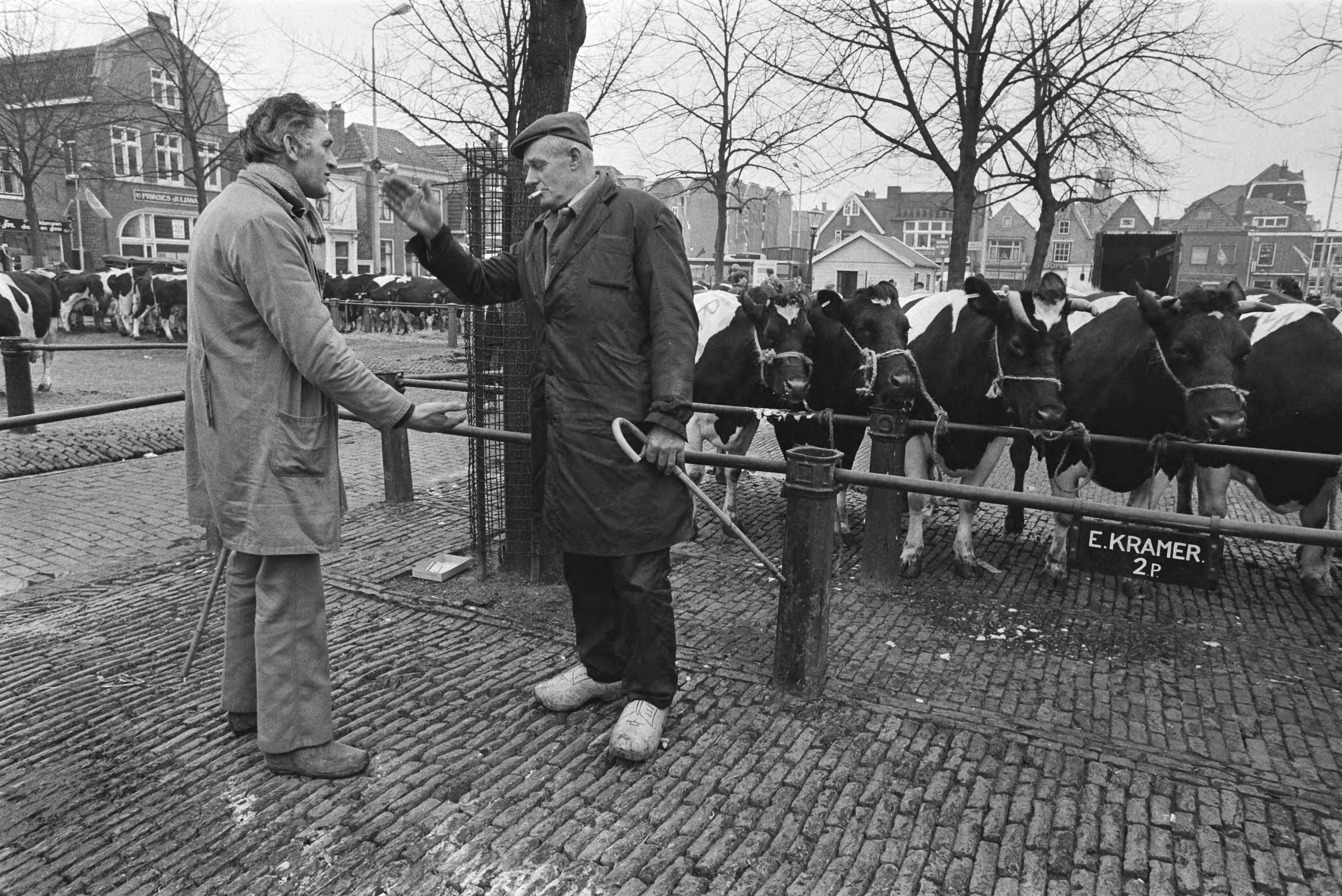Fotocollectie Anefo — Veemarkt Purmerend (eerste keer weer na mond- en klauwzeer in Noord Holland ); "handjeklap" — Foto: Bogaerts, Rob / Anefo. Licentie: Set B: Rechtenvrij / Publiek Domein. Bron: Nationaal Archief. http://hdl.handle.net/10648/ad35ab32-d0b4-102d-bcf8-003048976d84