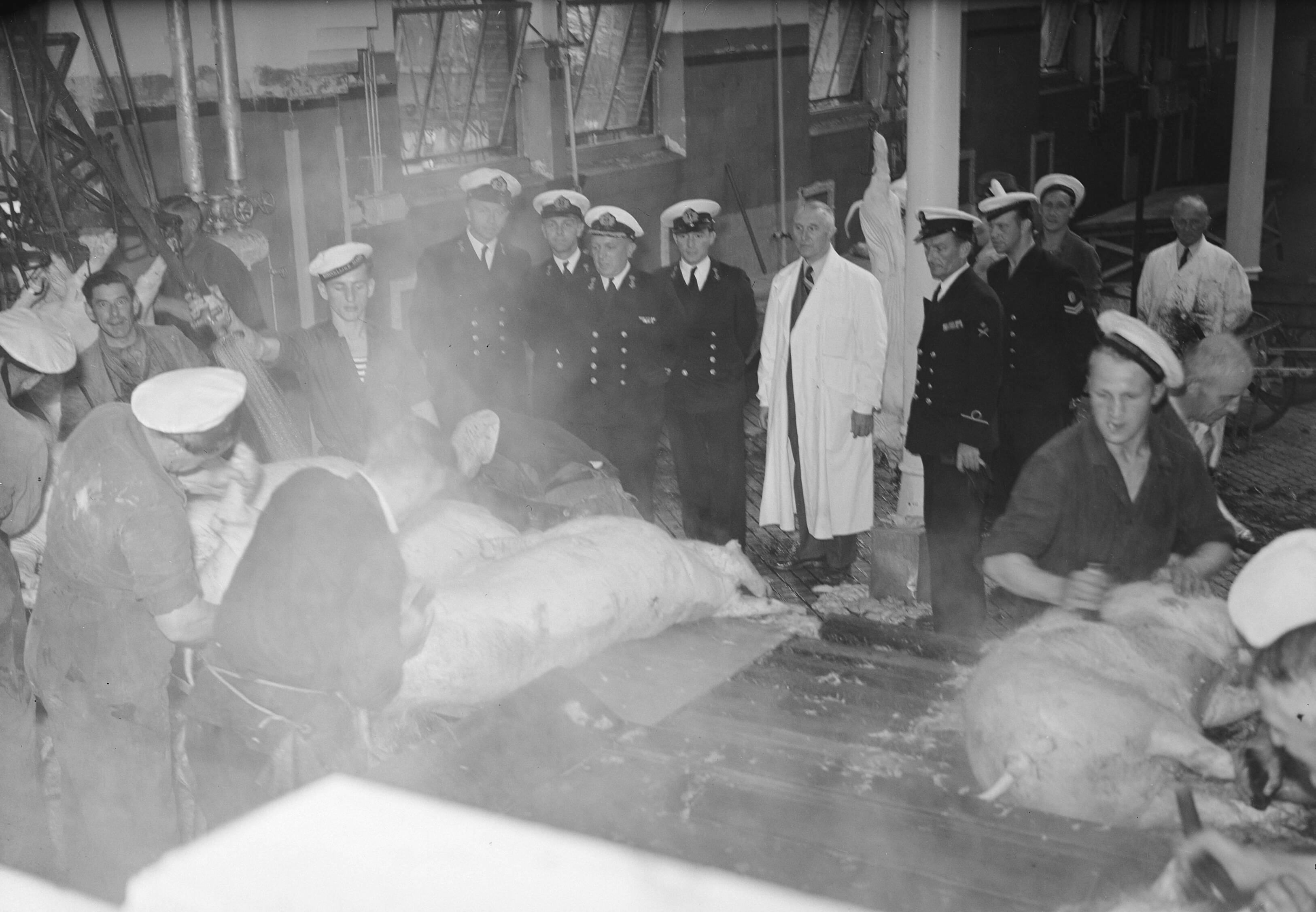 Fotocollectie Anefo — Commissie MOC Hilversum Le Grand op abattoir Utrecht — Foto: Oorschot, […] van / Anefo. Licentie: Set B: Rechtenvrij / Publiek Domein. Bron: Nationaal Archief. http://hdl.handle.net/10648/a8ce149e-d0b4-102d-bcf8-003048976d84