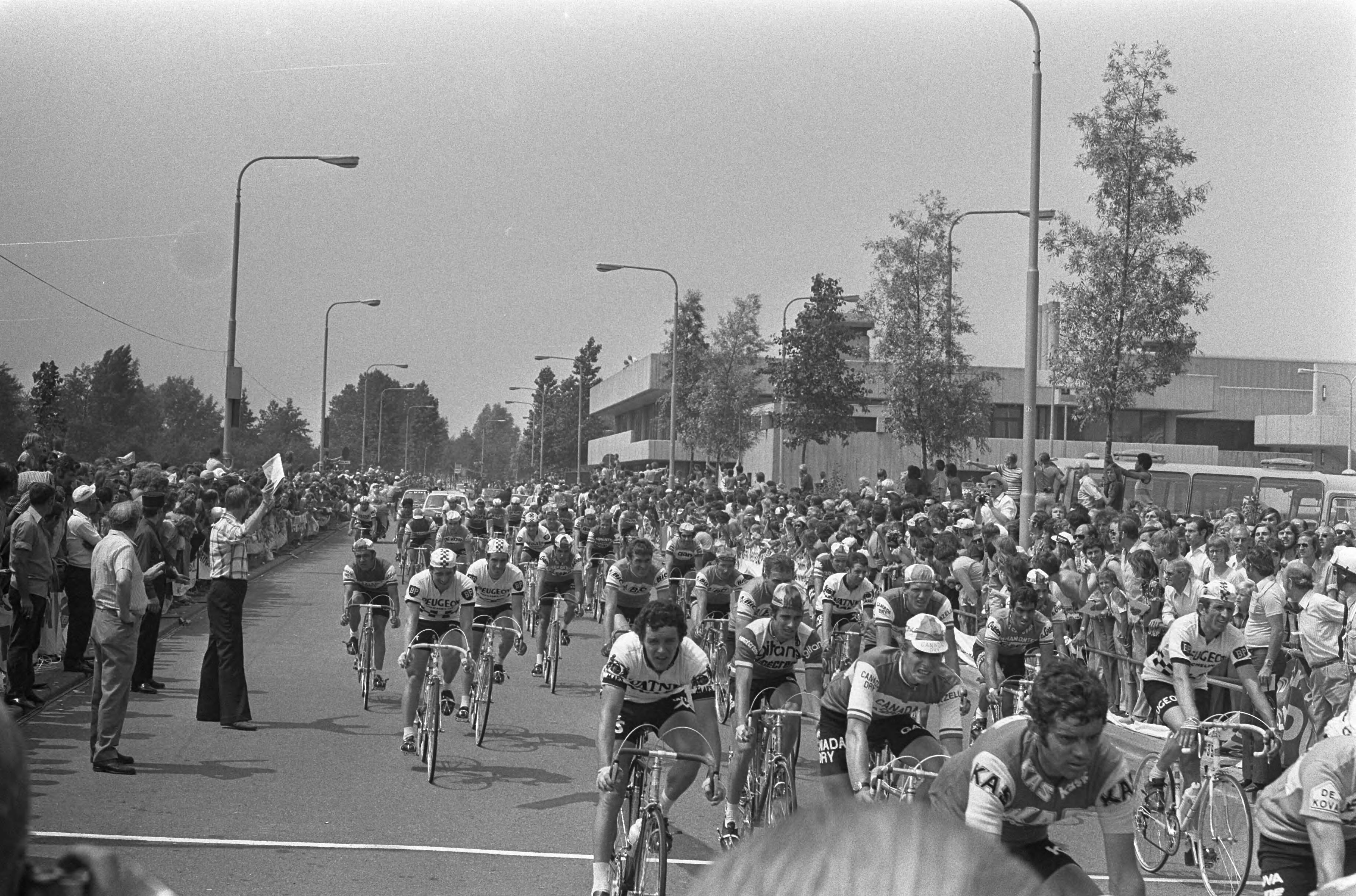 Fotocollectie Anefo — Finish eerste etappe Tour de France , Scheveningen naar Rotterdam, Peleton arriveert — Foto: Verhoeff, Bert / Anefo. Licentie: Set B: Rechtenvrij / Publiek Domein. Bron: Nationaal Archief. http://hdl.handle.net/10648/ac3098e6-d0b4-102d-bcf8-003048976d84