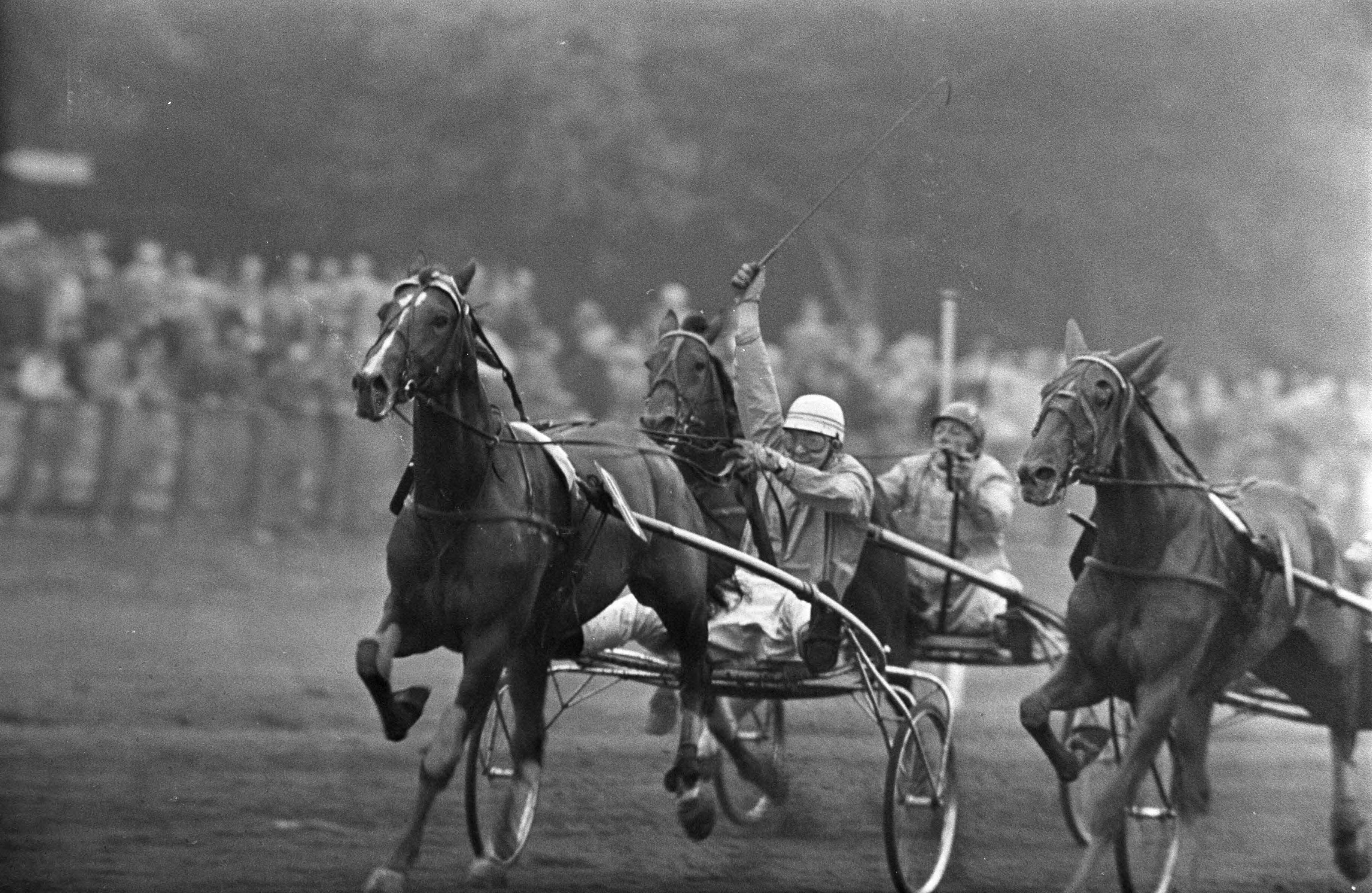 Nederlandse kampioenschappen Draverijen op Duindigt — Jan van Dooyeweerd steekt juichend zijn arm op — Foto: Fotograaf Onbekend / Anefo. Licentie: Set B: Rechtenvrij / Publiek Domein. Bron: Nationaal Archief. http://hdl.handle.net/10648/ab4da554-d0b4-102d-bcf8-003048976d84