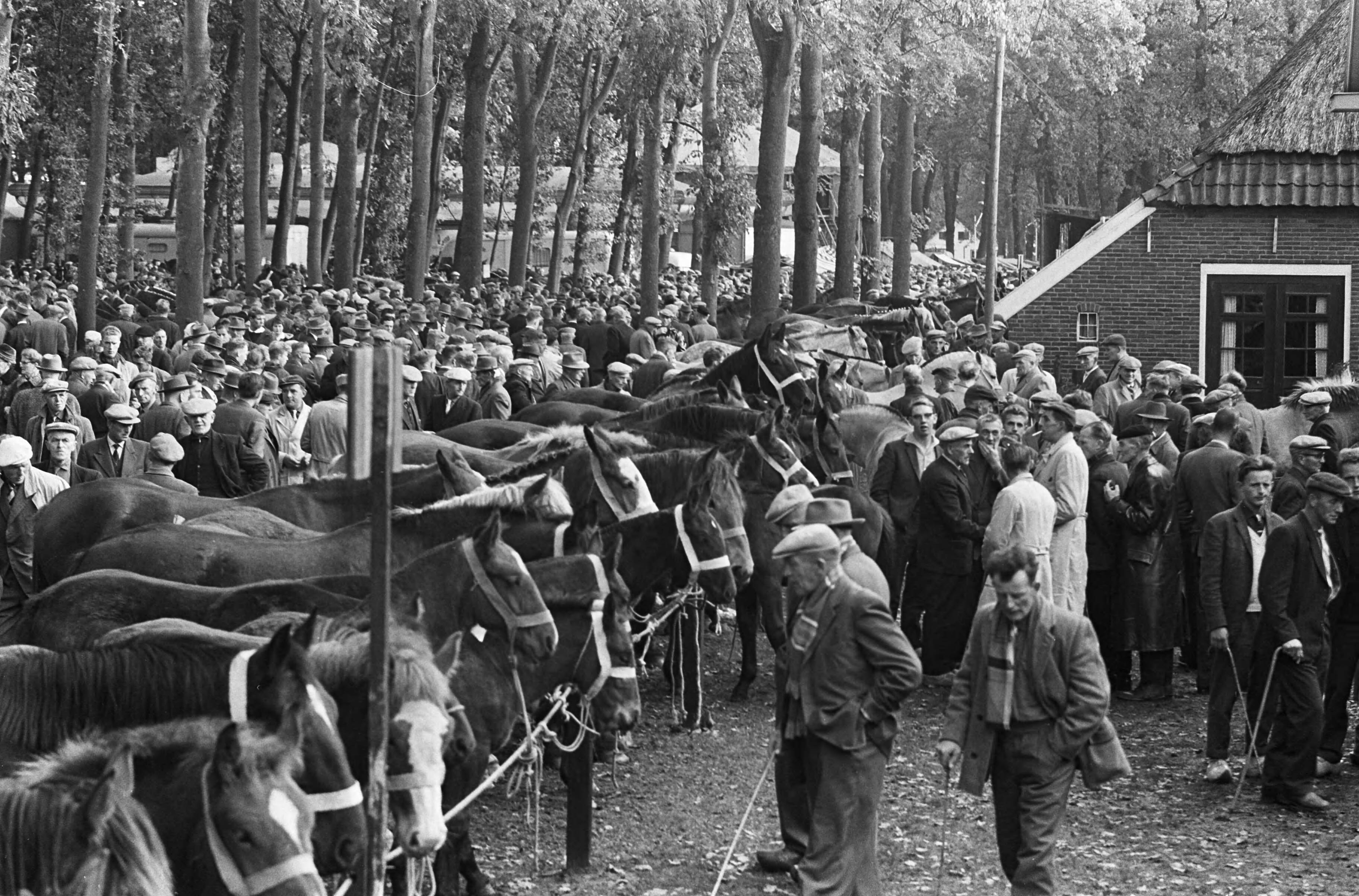 Fotocollectie Anefo — Zuidlaarder Paardenmarkt. Overzicht drukte op de markt — Foto: Walta, Winfried / Anefo. Licentie: Set B: Rechtenvrij / Publiek Domein. Bron: Nationaal Archief. http://hdl.handle.net/10648/aa49c5d4-d0b4-102d-bcf8-003048976d84