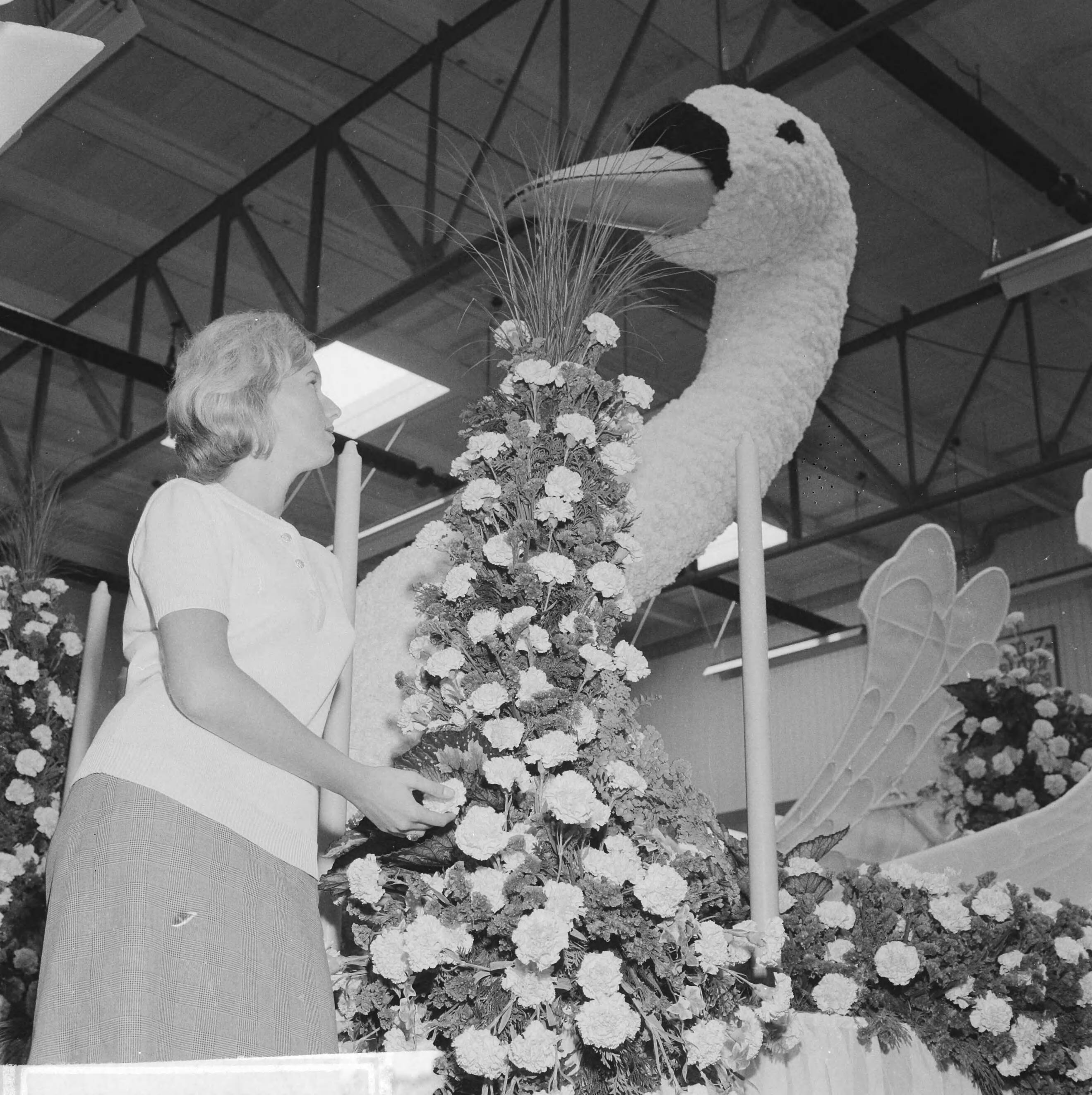 Fotocollectie Anefo — Bloemencorso in Aalsmeer, men was vrijdag druk bezig de wagens op te tuigen — Foto: Koch, Eric / Anefo. Licentie: Set B: Rechtenvrij / Publiek Domein. Bron: Nationaal Archief. http://hdl.handle.net/10648/aa16be78-d0b4-102d-bcf8-003048976d84