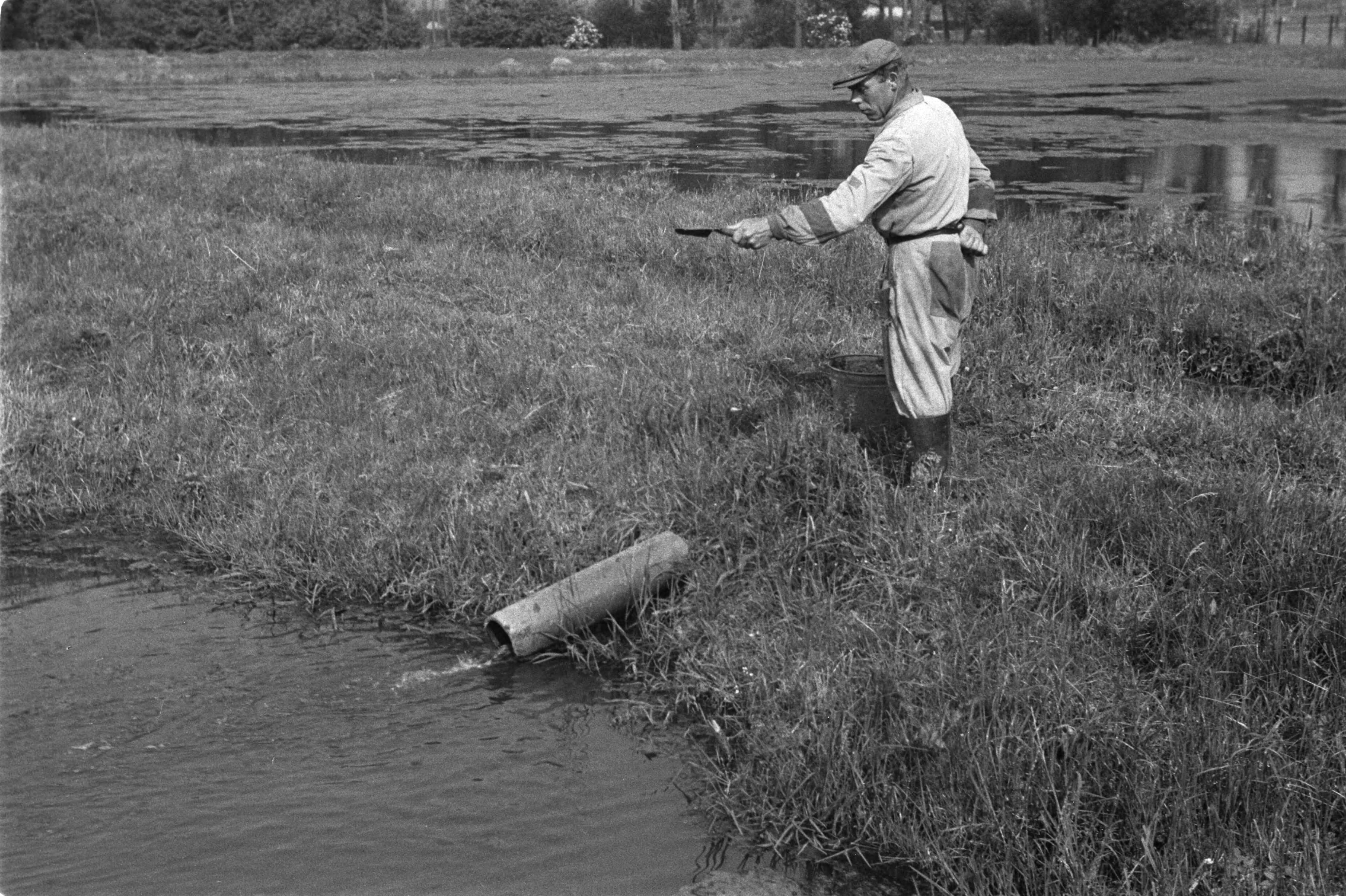 Fotocollectie Nederlandse Heidemaatschappij — Gulpen|visserij |viskwekerijen |voederingen |forellen |mannen — Foto: Fotograaf Onbekend / Heidemij. Licentie: Set B: Rechtenvrij / Publiek Domein. Bron: Nationaal Archief. http://hdl.handle.net/10648/ae89e890-d0b4-102d-bcf8-003048976d84