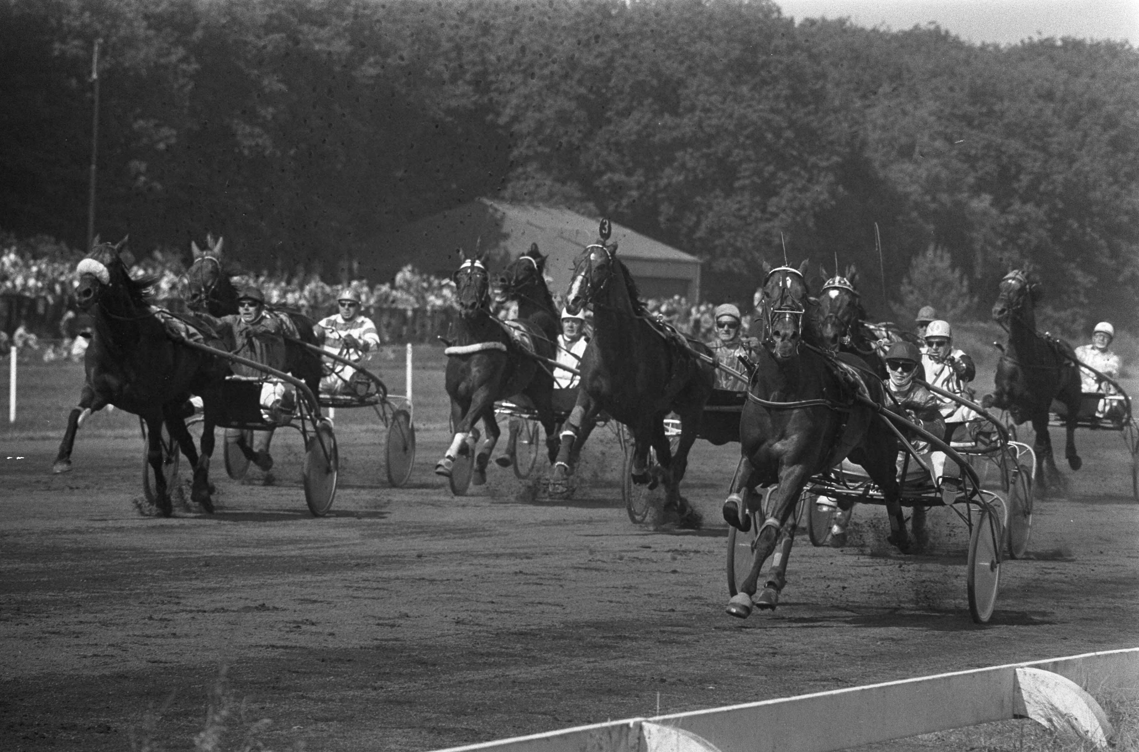 Fotocollectie Anefo — Duindigt, finish Grote Prijs der Lage Landen , Ego Boy (rechts) gaat als eerste over de finish — Foto: Verhoeff, Bert / Anefo. Licentie: Set B: Rechtenvrij / Publiek Domein. Bron: Nationaal Archief. http://hdl.handle.net/10648/ac30069c-d0b4-102d-bcf8-003048976d84