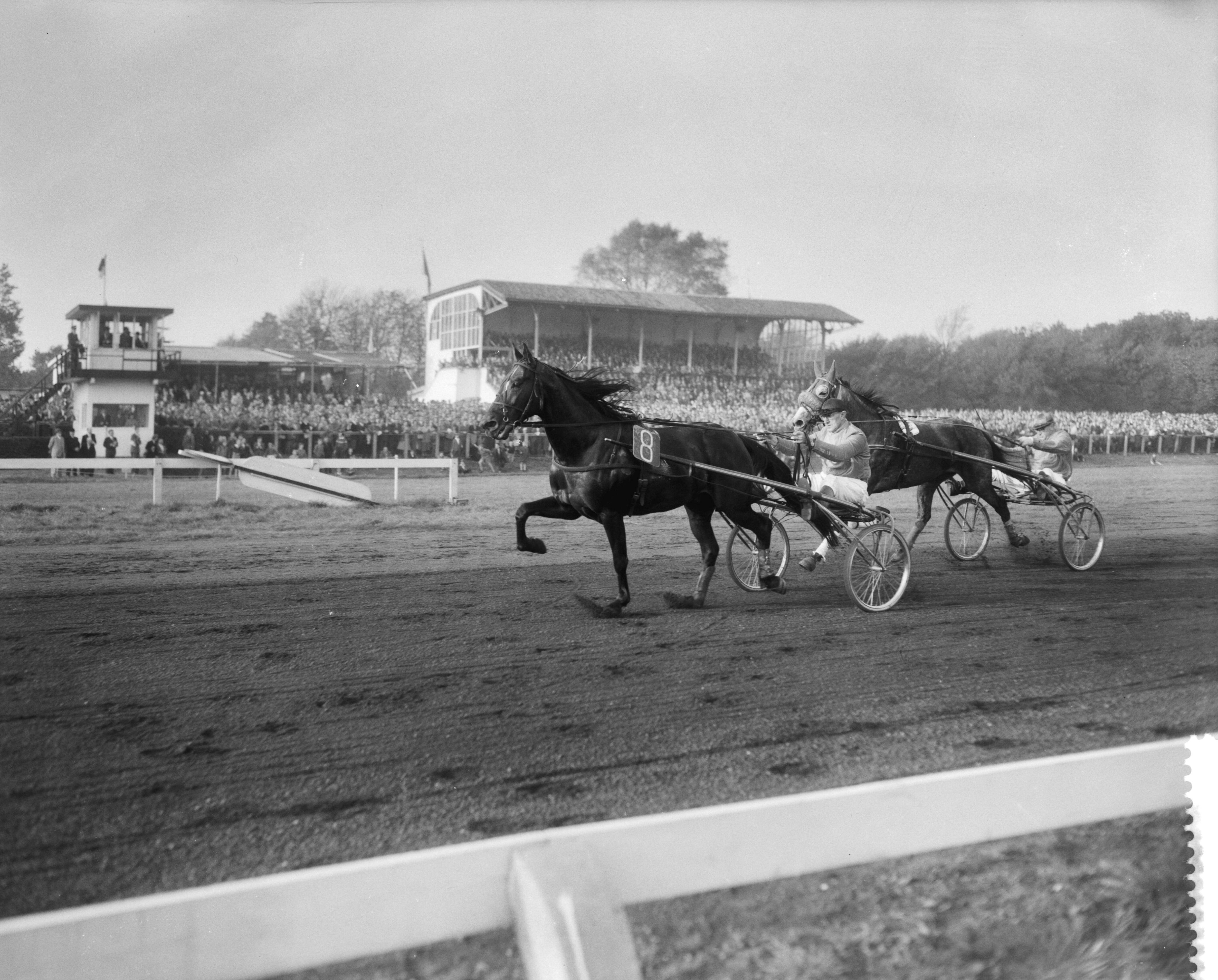 Fotocollectie Anefo — Draverijen Nederland tegen België op Duindigt — Foto: Pot, Harry / Anefo. Licentie: Set B: Rechtenvrij / Publiek Domein. Bron: Nationaal Archief. http://hdl.handle.net/10648/a96c4880-d0b4-102d-bcf8-003048976d84