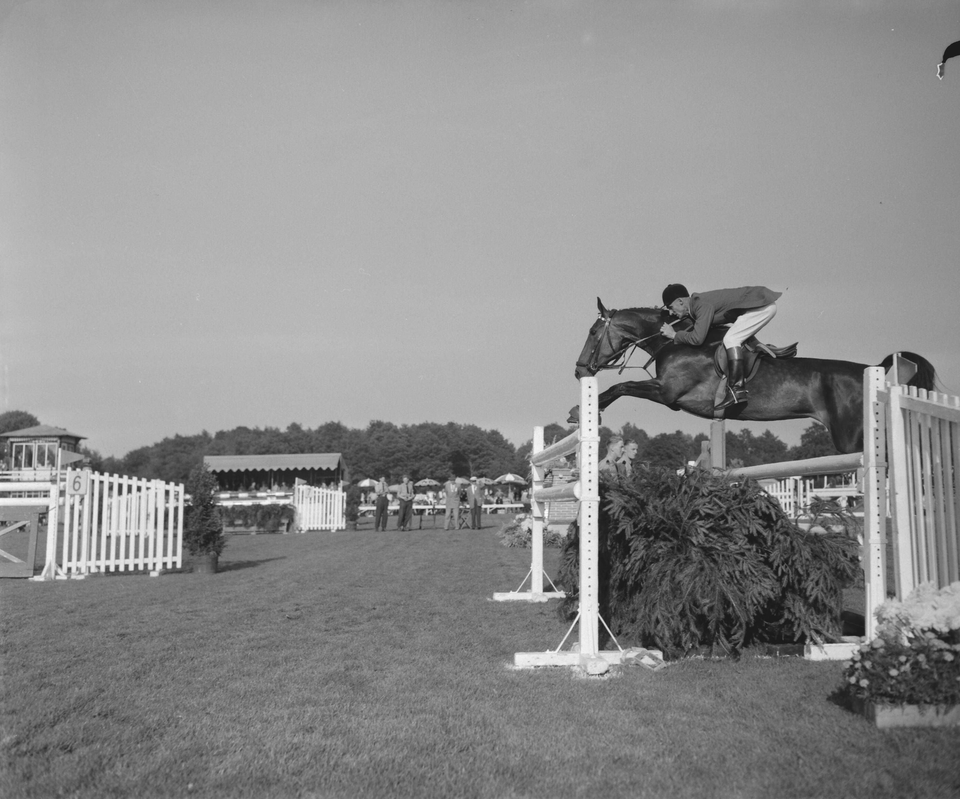 Fotocollectie Anefo — Concours hippique in Groningen, F. Tiedeman met "Meteor" tijdens een sprong — Foto: Bilsen, Joop van / Anefo. Licentie: Set B: Rechtenvrij / Publiek Domein. Bron: Nationaal Archief. http://hdl.handle.net/10648/a9834e2c-d0b4-102d-bcf8-003048976d84