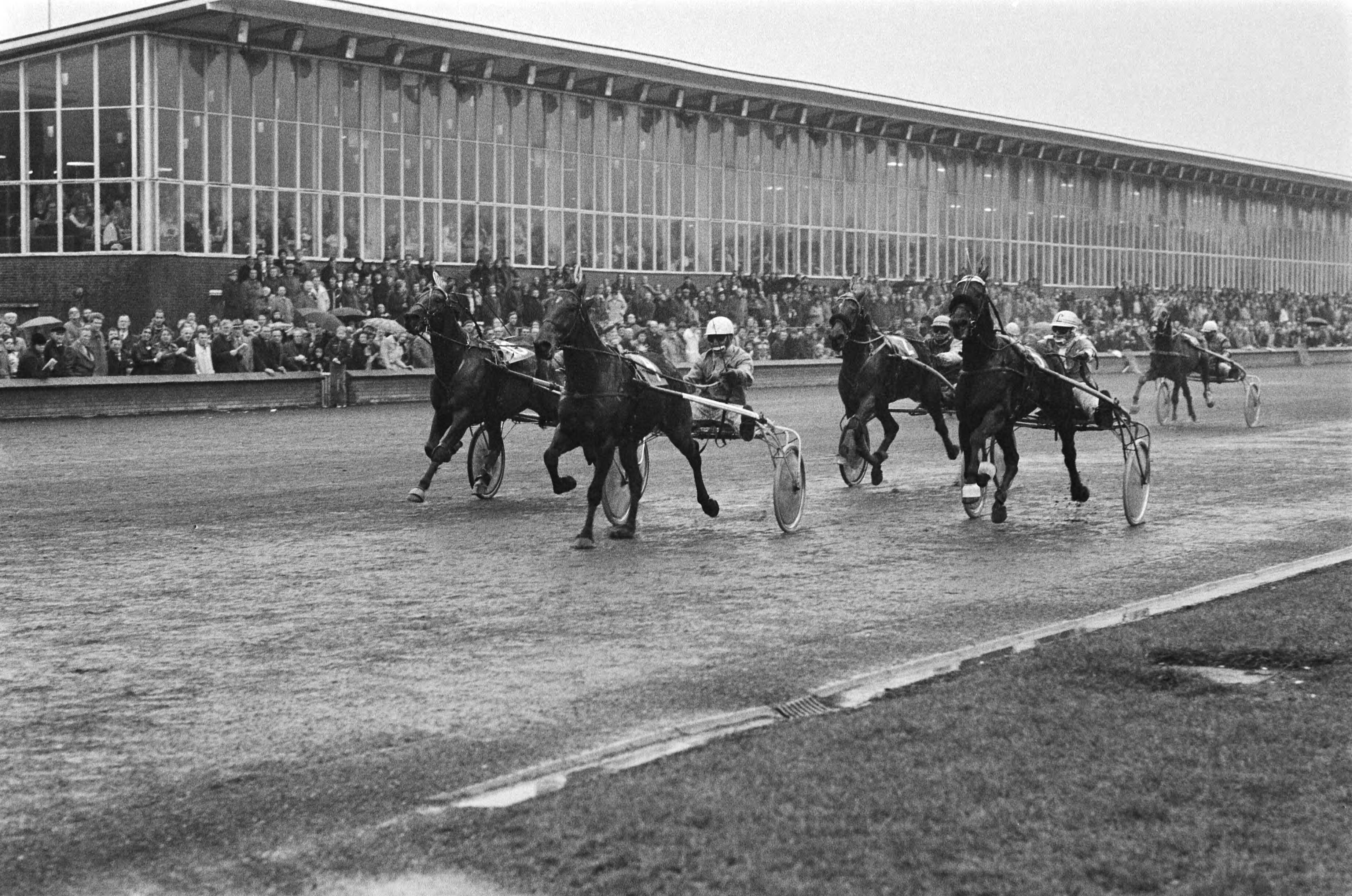 Fotocollectie Anefo — Draverijen om Grote Kerstprijs (Hilversum); 2e manch; Commaus met Speedy Volita op kop — Foto: Suyk, Koen / Anefo. Licentie: Set B: Rechtenvrij / Publiek Domein. Bron: Nationaal Archief. http://hdl.handle.net/10648/acc1e238-d0b4-102d-bcf8-003048976d84