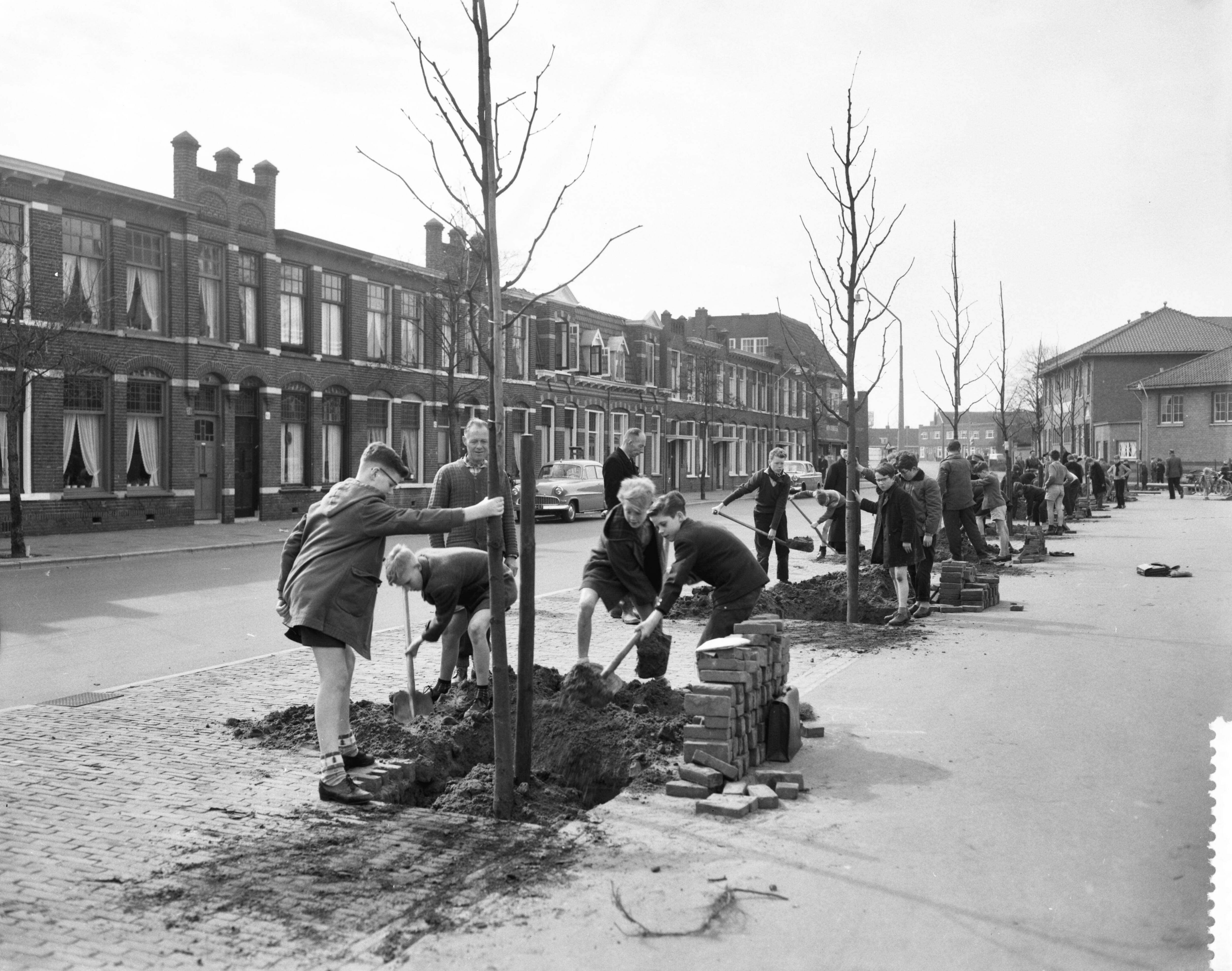 Fotocollectie Anefo — Boomplantdag in Haarlem, platen op het Teijlerplein — Foto: Pot, Harry / Anefo. Licentie: Set B: Rechtenvrij / Publiek Domein. Bron: Nationaal Archief. http://hdl.handle.net/10648/a9abfd9a-d0b4-102d-bcf8-003048976d84