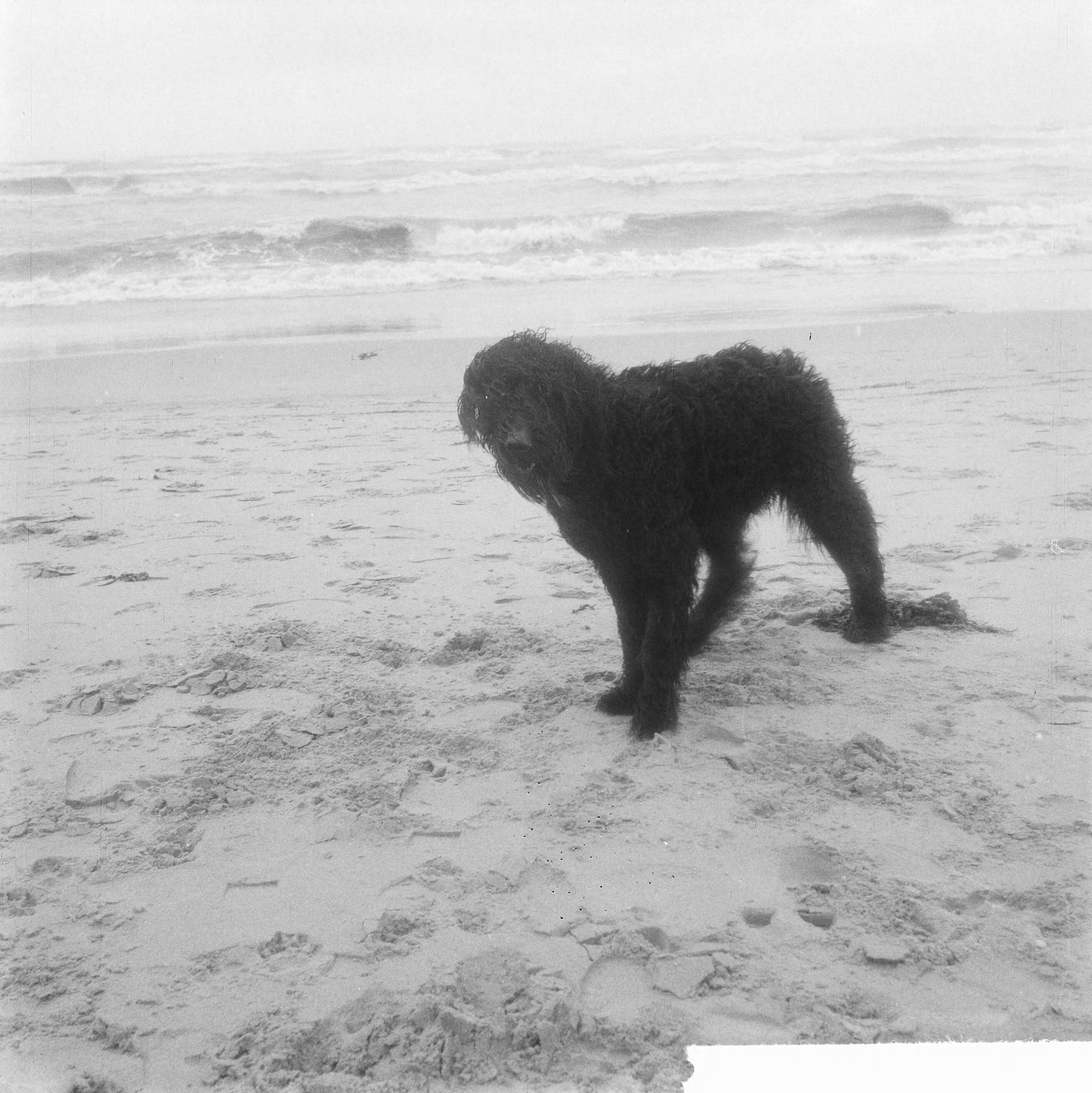 Fotocollectie Anefo — Strand Zandvoort bij storm — Foto: Nijs, Jac. de / Anefo. Licentie: Set B: Rechtenvrij / Publiek Domein. Bron: Nationaal Archief. http://hdl.handle.net/10648/aa175a22-d0b4-102d-bcf8-003048976d84