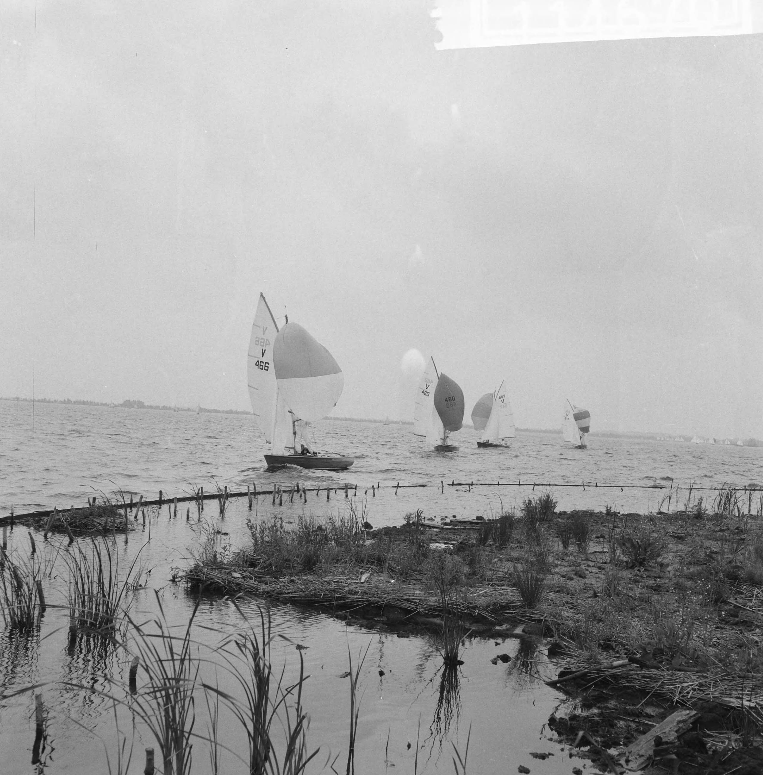 Fotocollectie Anefo — Internationale Hollandweek te Loosdrecht — Foto: Behrens, Herbert F. / Anefo. Licentie: Set B: Rechtenvrij / Publiek Domein. Bron: Nationaal Archief. http://hdl.handle.net/10648/a9b593dc-d0b4-102d-bcf8-003048976d84