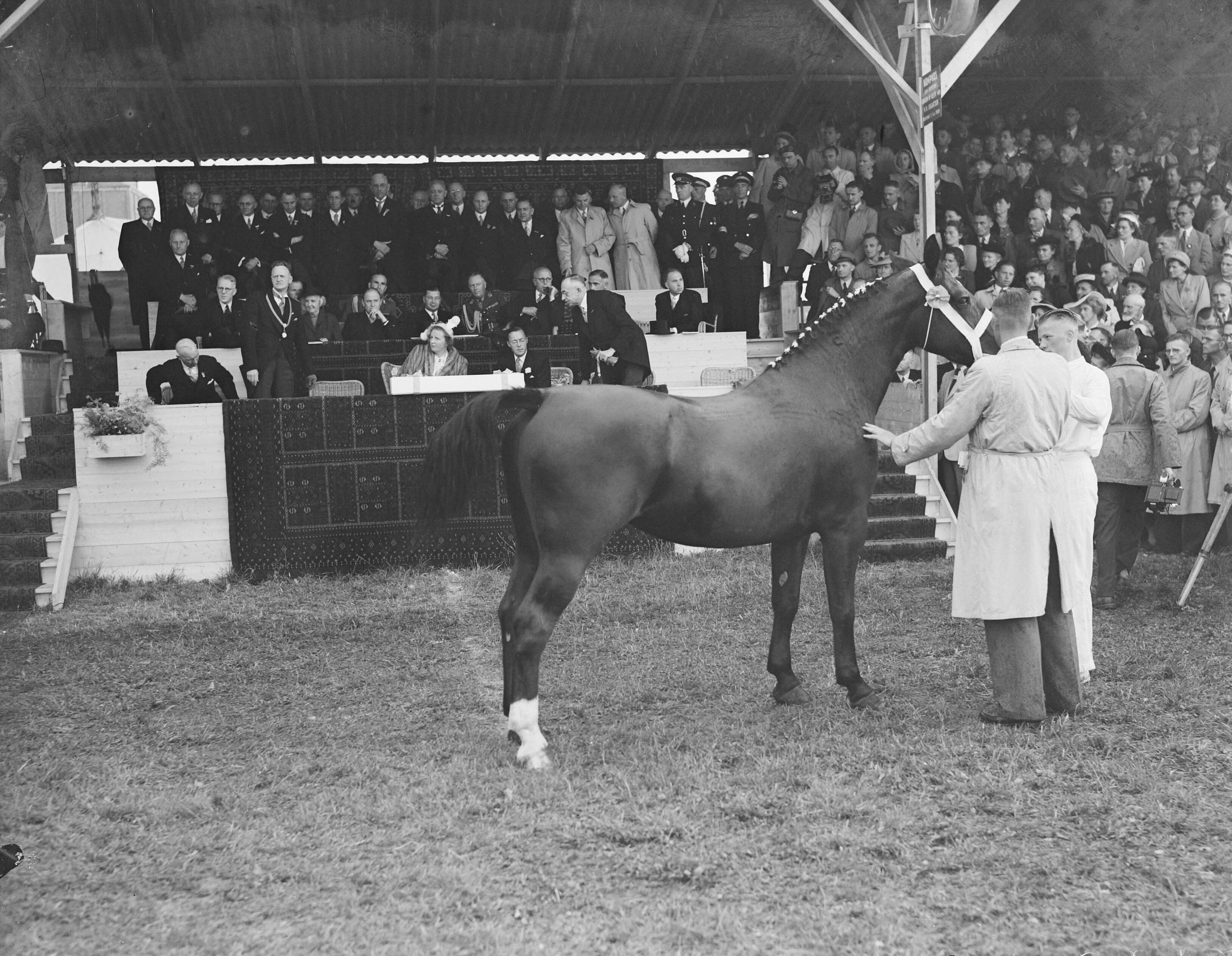Koninklijk bezoek aan Groningen (1950) — Koninklijk bezoek aan Groningen — Foto: Noske, J.D. / Anefo. Licentie: Set B: Rechtenvrij / Publiek Domein. Bron: Nationaal Archief. http://hdl.handle.net/10648/a8da953e-d0b4-102d-bcf8-003048976d84
