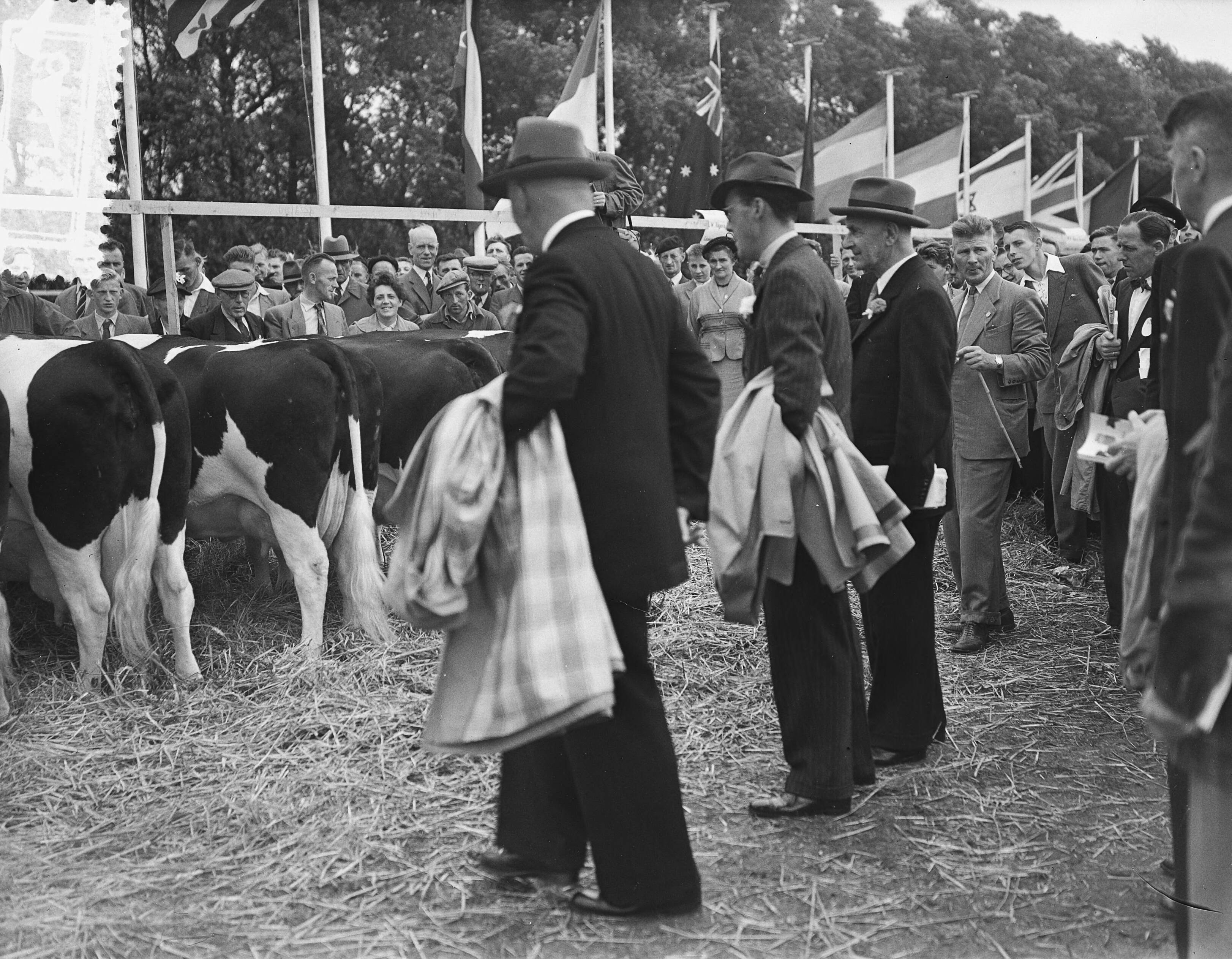 Fotocollectie Anefo — Jubileum 75 jaar keuring Fries Rundvee Stamboek te Leeuwarden. Prins Bernhard was aanwezig — Foto: Bilsen, Joop van / Anefo. Licentie: Set B: Rechtenvrij / Publiek Domein. Bron: Nationaal Archief. http://hdl.handle.net/10648/a929309a-d0b4-102d-bcf8-003048976d84