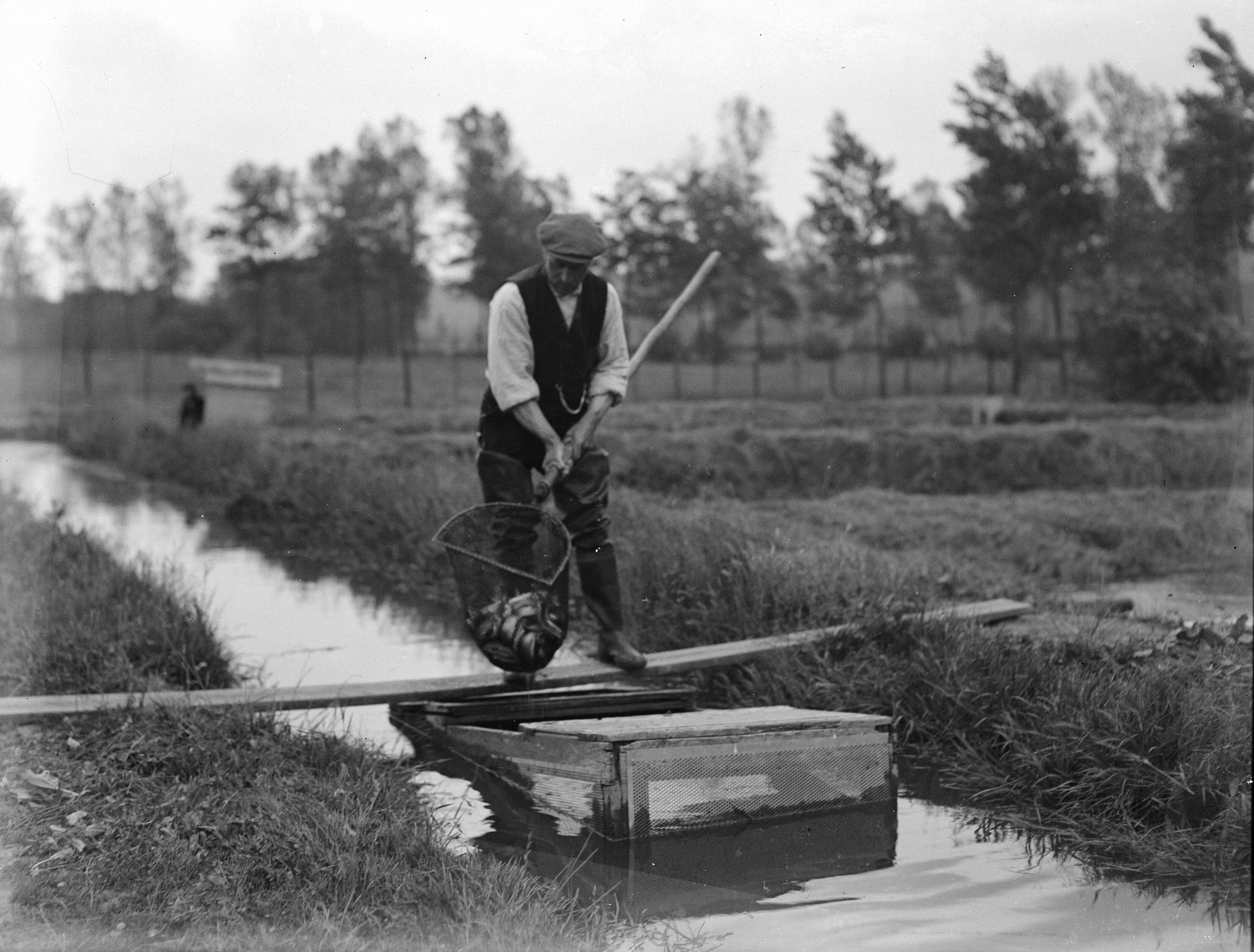 Fotocollectie Nederlandse Heidemaatschappij — Gulpen|kwekerij — Foto: Fotograaf Onbekend / Heidemij. Licentie: Set B: Rechtenvrij / Publiek Domein. Bron: Nationaal Archief. http://hdl.handle.net/10648/ae40e596-d0b4-102d-bcf8-003048976d84