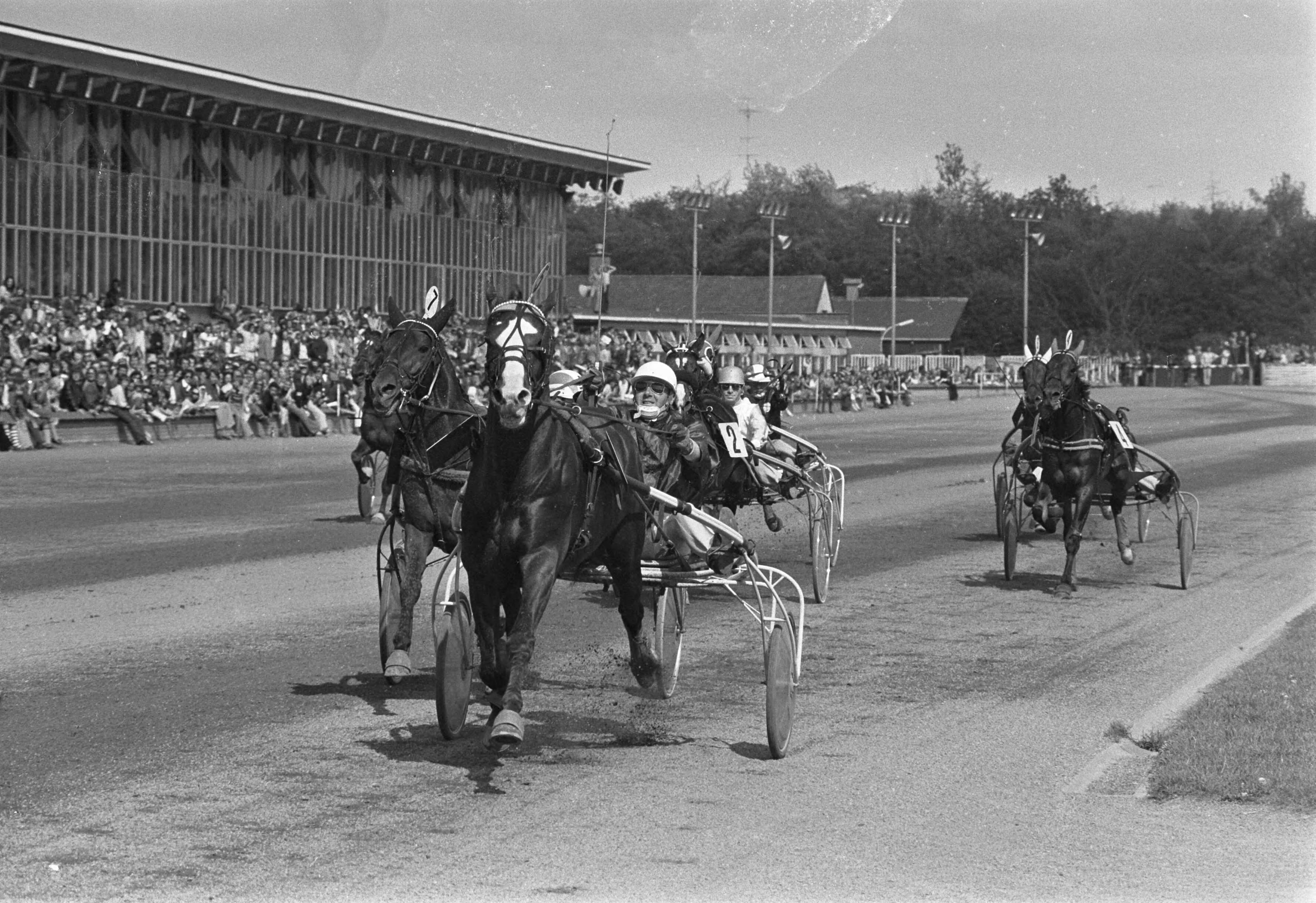 Fotocollectie Anefo — Gouden Zweep op renbaan Hilversum, Kameraad met S. van Leeuwen (5) eerste, links Jojo Buitenzorg (7) tweede — Foto: Verhoeff, Bert / Anefo. Licentie: Set B: Rechtenvrij / Publiek Domein. Bron: Nationaal Archief. http://hdl.handle.net/10648/ac83aedc-d0b4-102d-bcf8-003048976d84