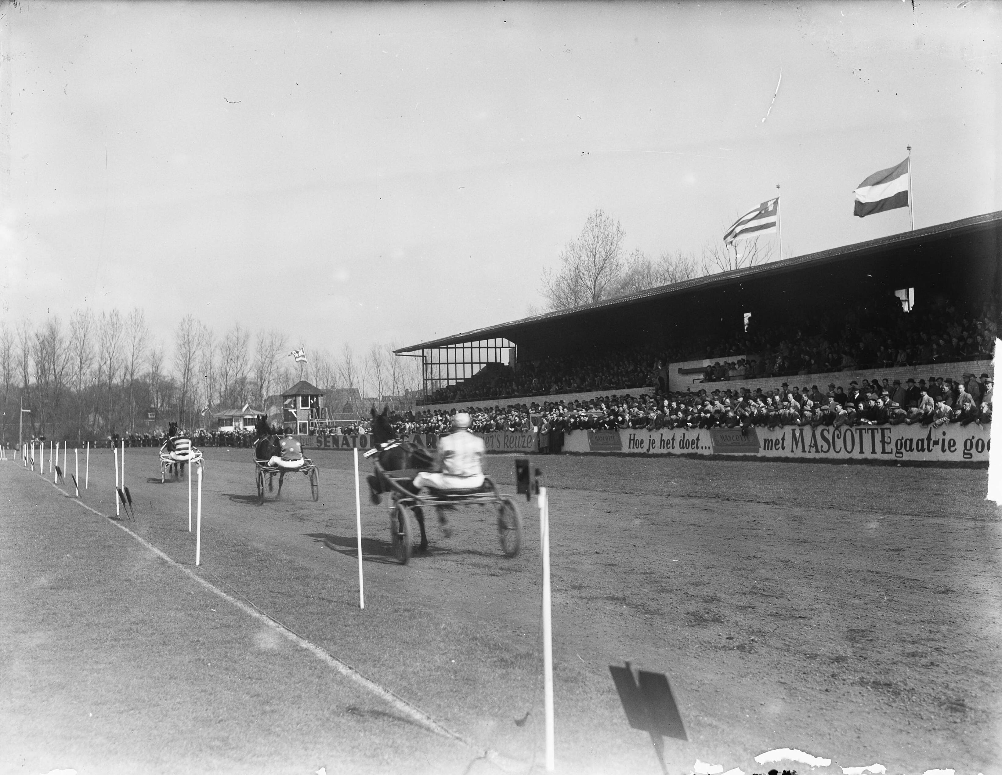 Fotocollectie Anefo — Opening van het drafseizoen in Alkmaar — Foto: Pot, Harry / Anefo. Licentie: Set B: Rechtenvrij / Publiek Domein. Bron: Nationaal Archief. http://hdl.handle.net/10648/a8d61e0a-d0b4-102d-bcf8-003048976d84