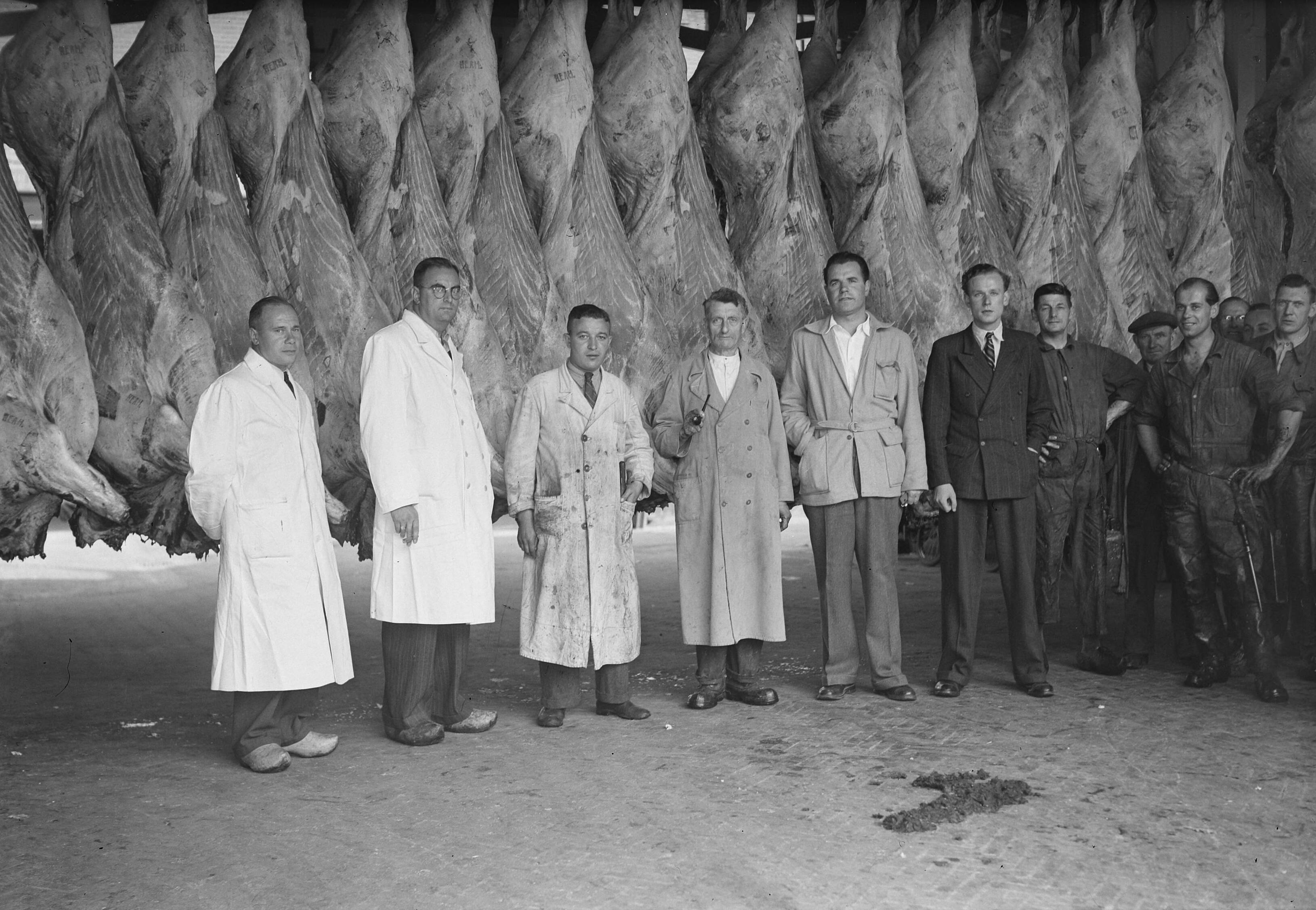 Fotocollectie Anefo — HEAM, Abattoir Utrecht — Foto: Oorschot, […] van / Anefo. Licentie: Set B: Rechtenvrij / Publiek Domein. Bron: Nationaal Archief. http://hdl.handle.net/10648/a8ce1a48-d0b4-102d-bcf8-003048976d84