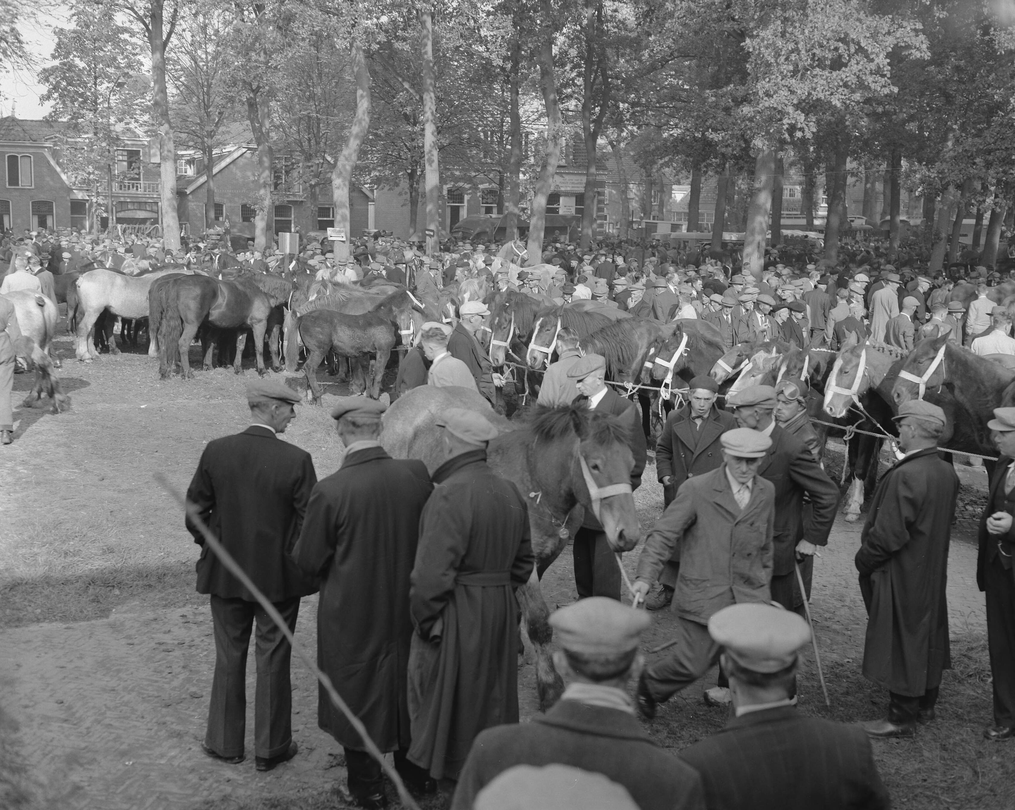 Fotocollectie Anefo — Zuidlaarder paardenmarkt — Foto: Rossem, Wim van / Anefo. Licentie: Set B: Rechtenvrij / Publiek Domein. Bron: Nationaal Archief. http://hdl.handle.net/10648/a950f454-d0b4-102d-bcf8-003048976d84