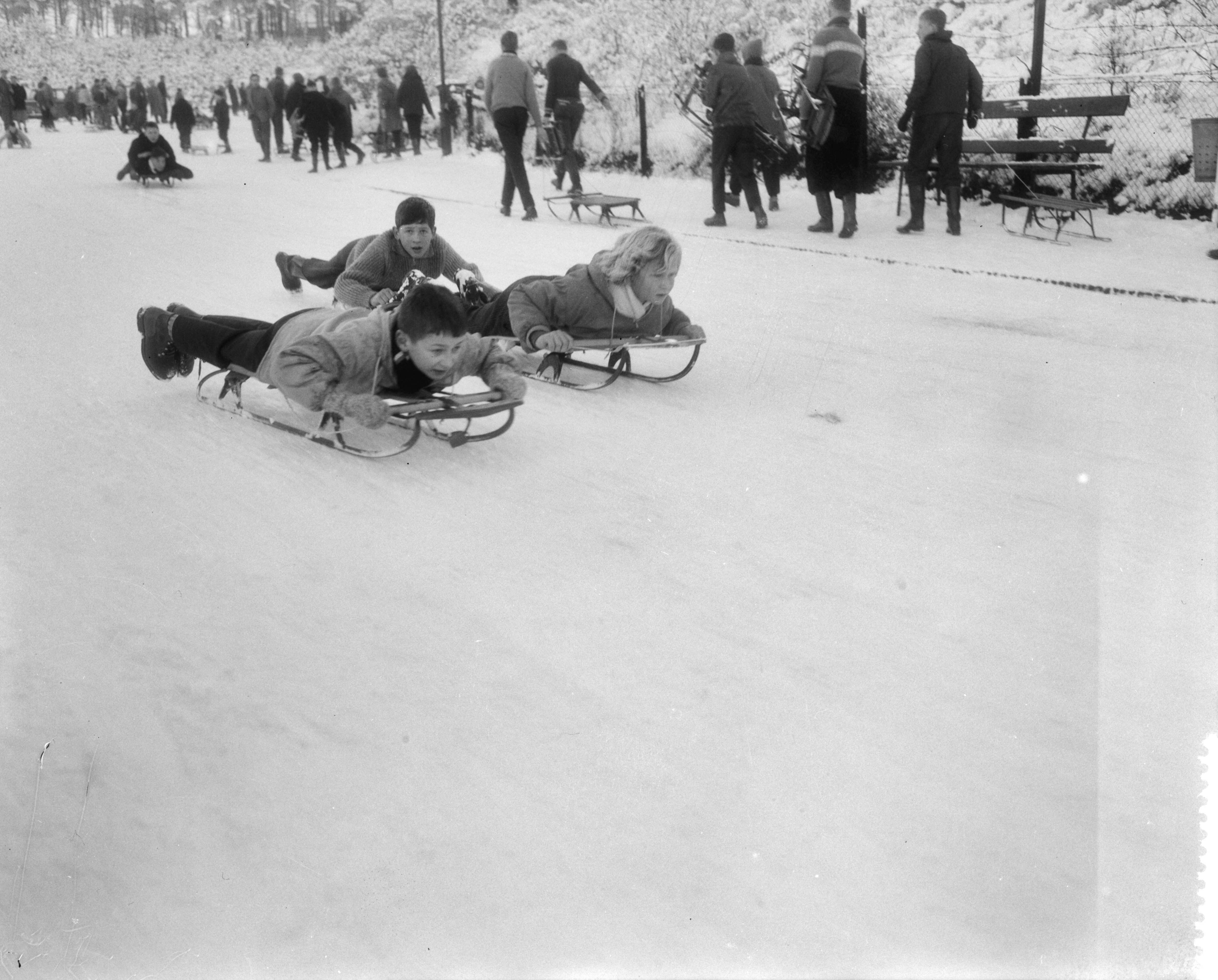Fotocollectie Anefo — Sleeen op het Bloemendaalse Kopje — Foto: Pot, Harry / Anefo. Licentie: Set B: Rechtenvrij / Publiek Domein. Bron: Nationaal Archief. http://hdl.handle.net/10648/a98bb530-d0b4-102d-bcf8-003048976d84