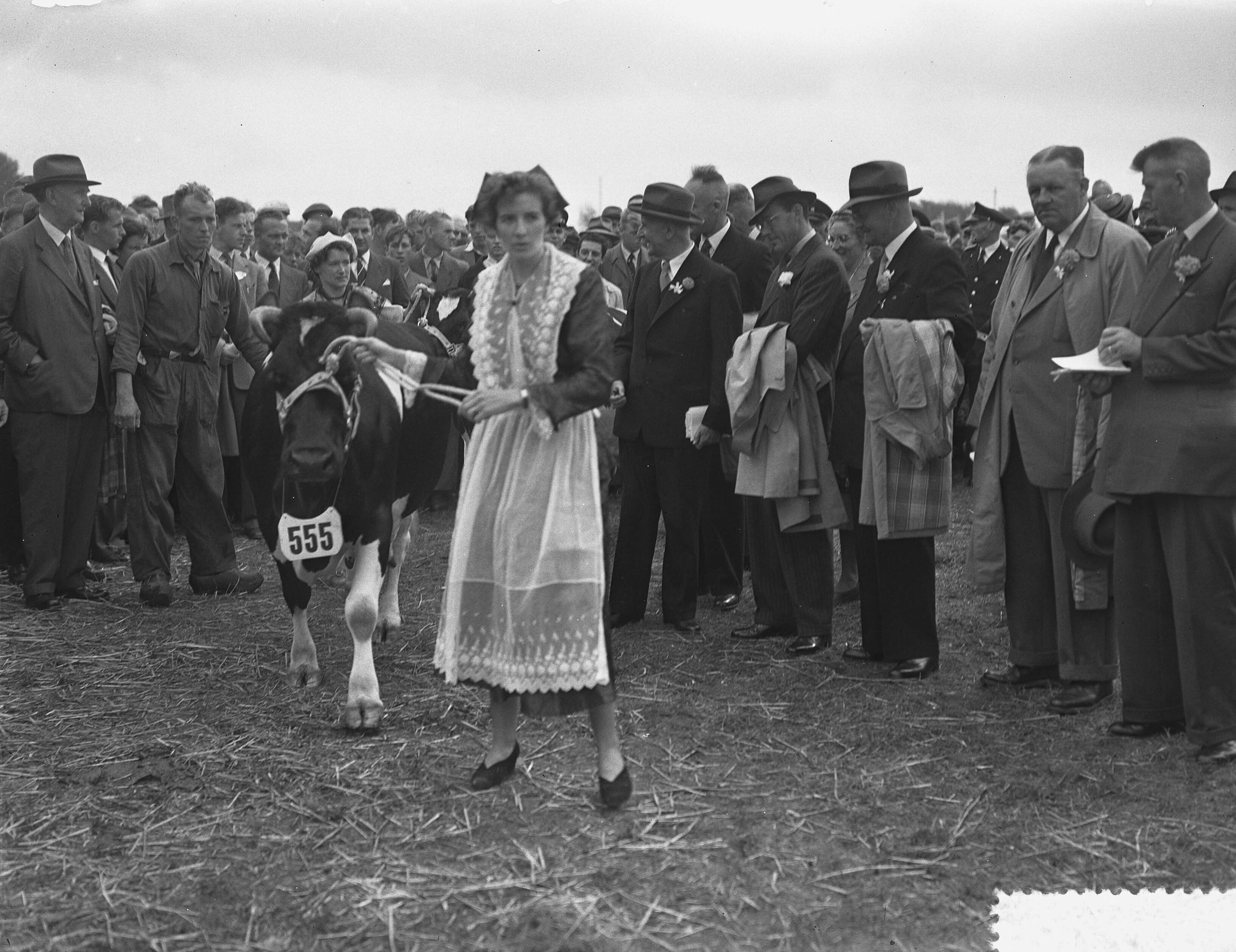 Fotocollectie Anefo — Jubileum 75 jaar keuring Fries Rundvee Stamboek te Leeuwarden. Prins Bernhard was aanwezig — Foto: Bilsen, Joop van / Anefo. Licentie: Set B: Rechtenvrij / Publiek Domein. Bron: Nationaal Archief. http://hdl.handle.net/10648/a9292d7a-d0b4-102d-bcf8-003048976d84