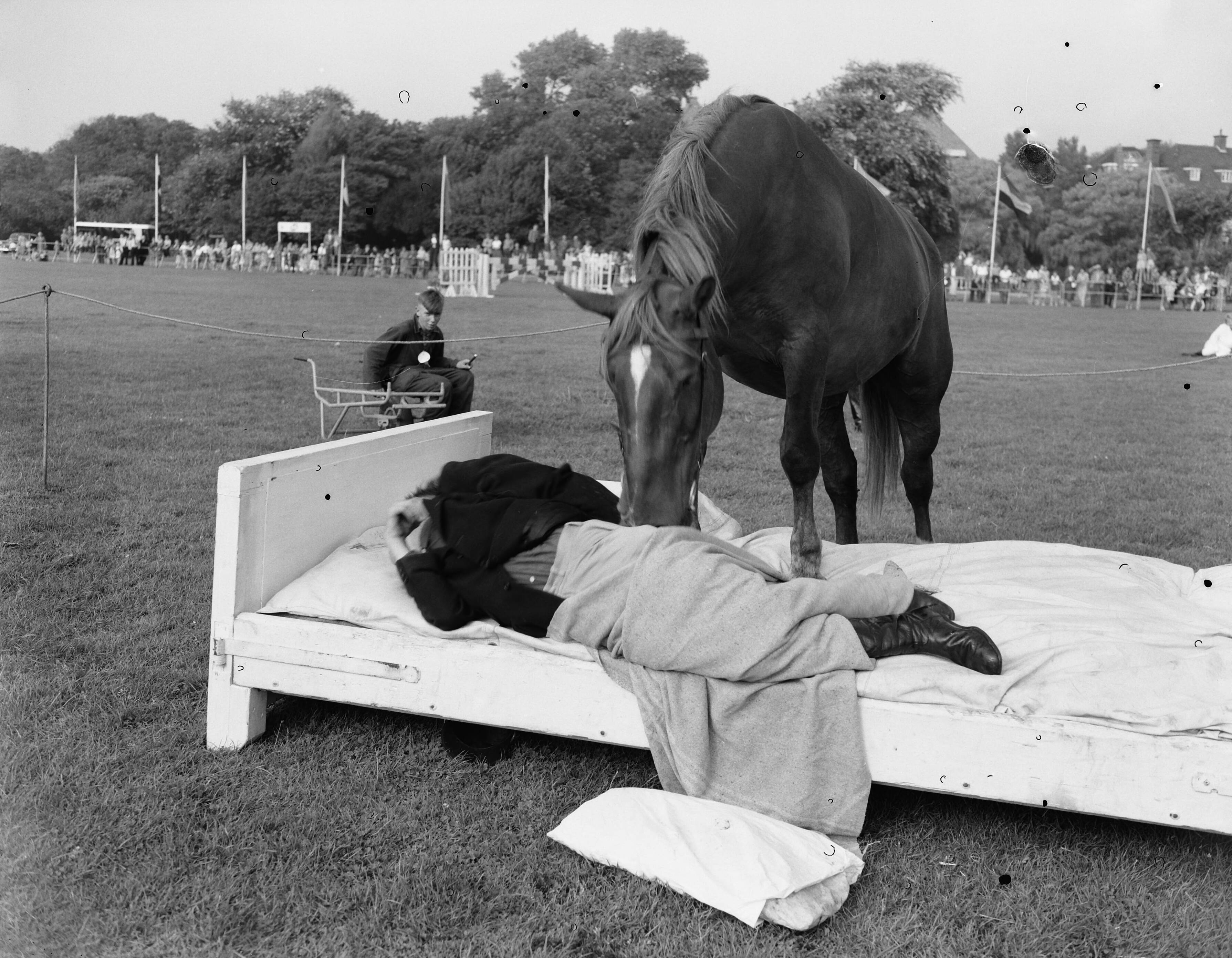 Fotocollectie Anefo — Jubileum Concours Hippique Den Haag , Jan de Wit met gedresseerde paarden [paard maakt een man in een ledikant wakker] — Foto: Pot, Harry / Anefo. Licentie: Set B: Rechtenvrij / Publiek Domein. Bron: Nationaal Archief. http://hdl.handle.net/10648/a939bf64-d0b4-102d-bcf8-003048976d84