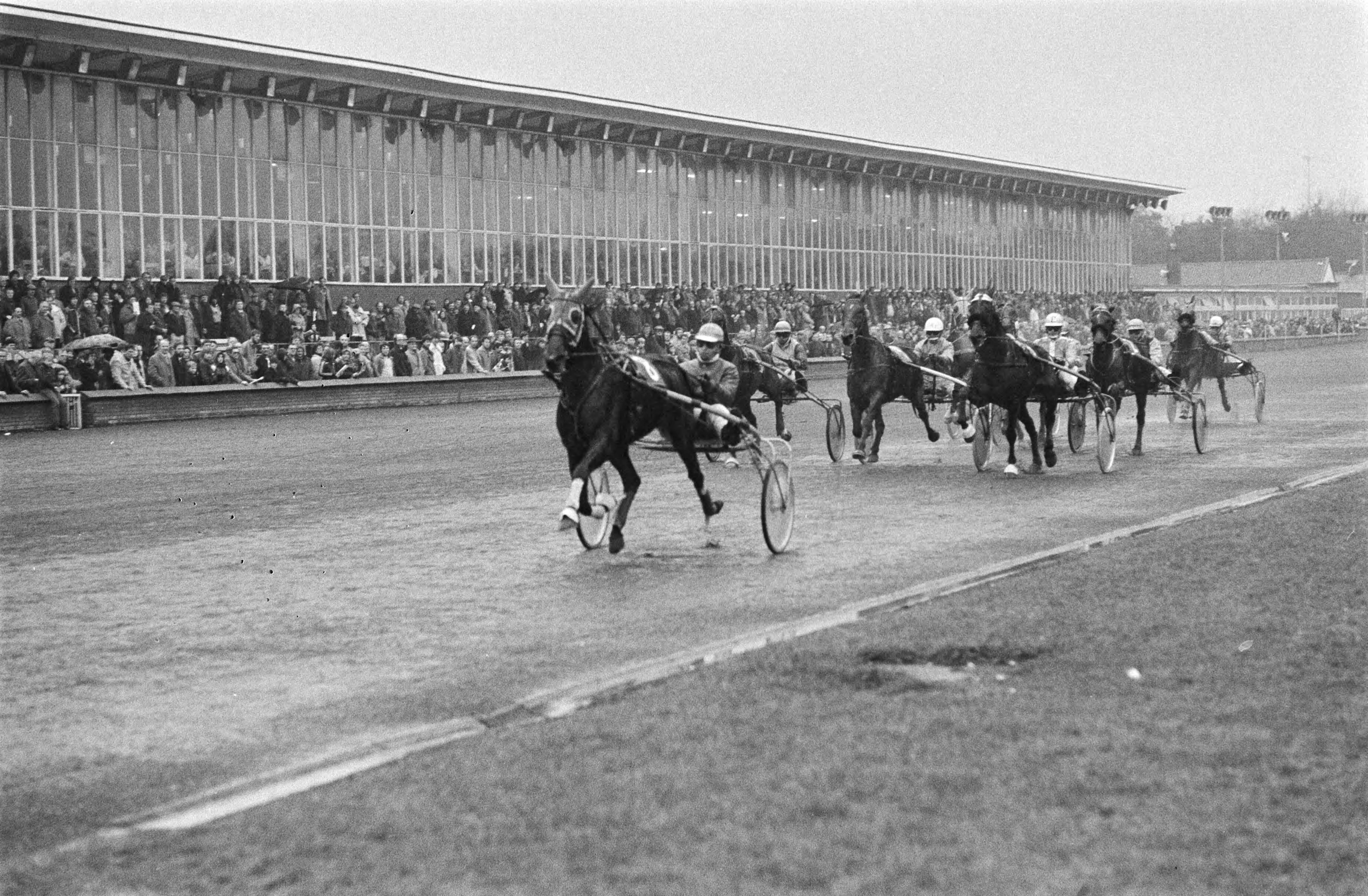 Fotocollectie Anefo — Draverijen om Grote Kerstprijs (Hilversum); 2e manch; Commaus met Speedy Volita op kop — Foto: Suyk, Koen / Anefo. Licentie: Set B: Rechtenvrij / Publiek Domein. Bron: Nationaal Archief. http://hdl.handle.net/10648/acc1e15c-d0b4-102d-bcf8-003048976d84