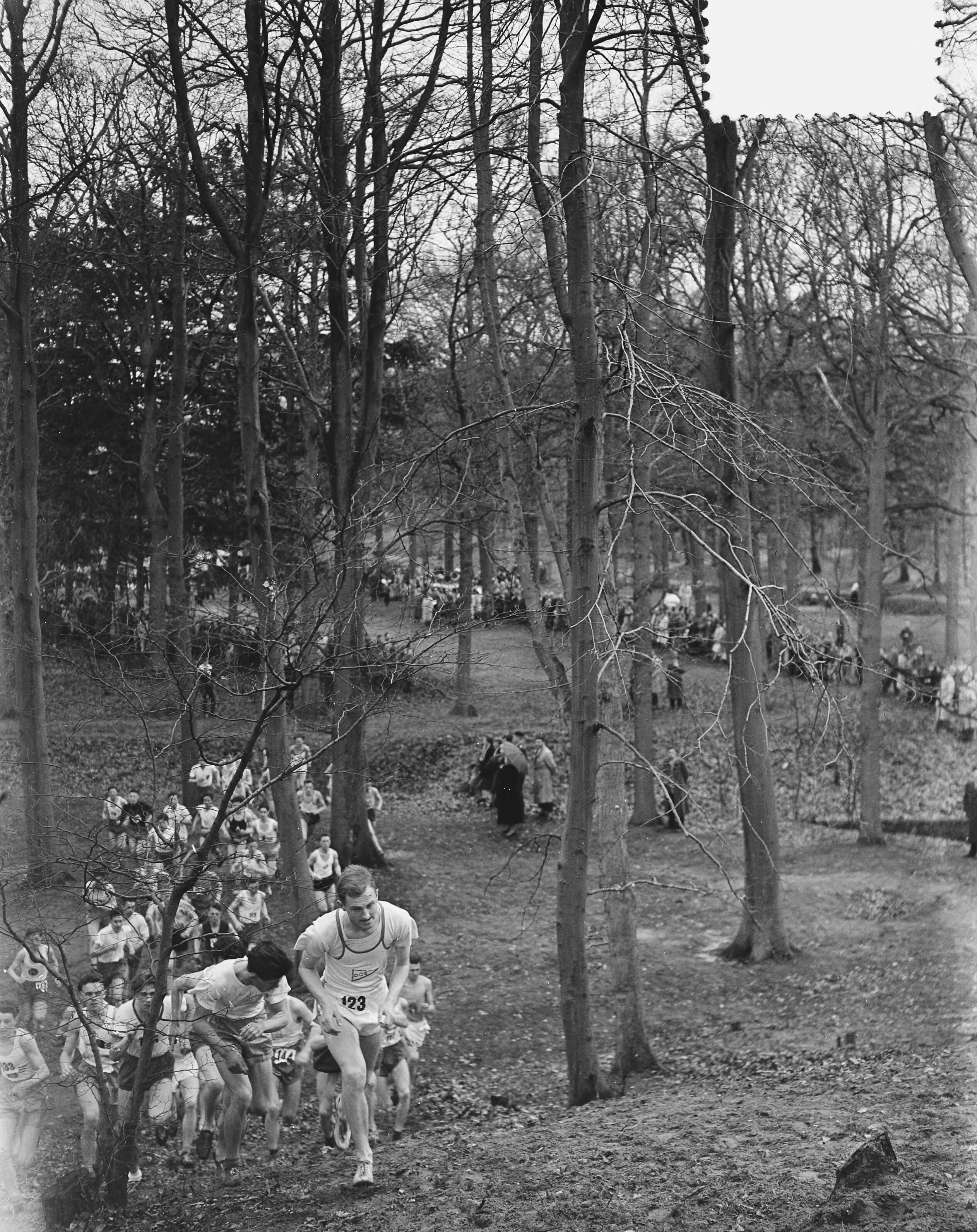 Fotocollectie Anefo — Veldloopkampioenschappen van Nederland in Wassenaar. A. Junioren, heuvel klim — Foto: Bilsen, Joop van / Anefo. Licentie: Set B: Rechtenvrij / Publiek Domein. Bron: Nationaal Archief. http://hdl.handle.net/10648/a909c8d6-d0b4-102d-bcf8-003048976d84