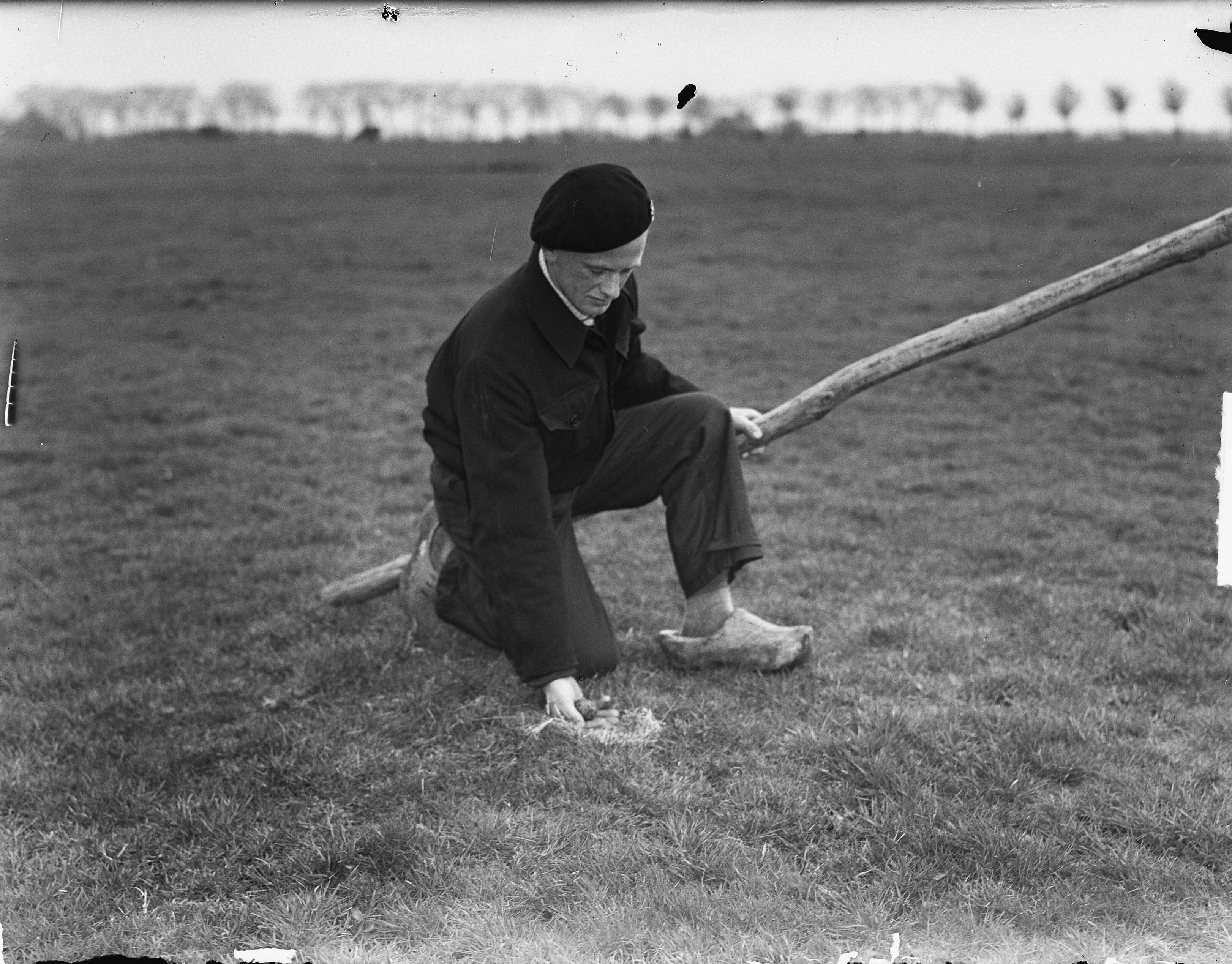 Fotocollectie Anefo — Eerste kievietsei gevonden door Jan Schermer uit Castricum — Foto: Noske, J.D. / Anefo. Licentie: Set B: Rechtenvrij / Publiek Domein. Bron: Nationaal Archief. http://hdl.handle.net/10648/a8d5def4-d0b4-102d-bcf8-003048976d84