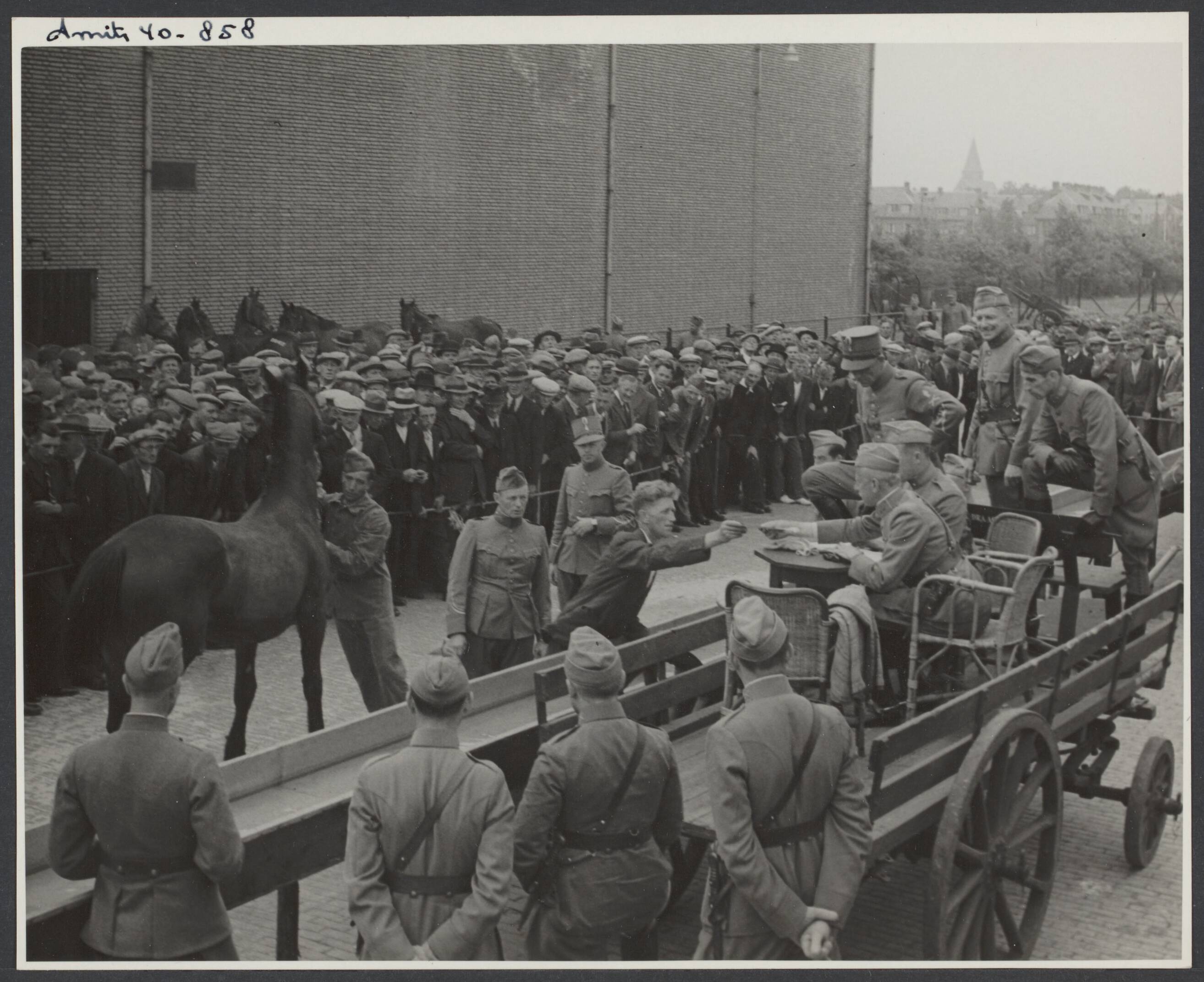 Demobilisatie 1940 — Den Haag. Legerpaarden worden verkocht ten behoeve van de Nederlandse landbouwers. De paarden worden voorgeleid — Foto: Smits, Roeland Pieter / Spaarnestad. Licentie: Set B: Rechtenvrij / Publiek Domein. Bron: Nationaal Archief. http://hdl.handle.net/10648/b07726b8-c11b-9e2b-9560-f7201142dd76