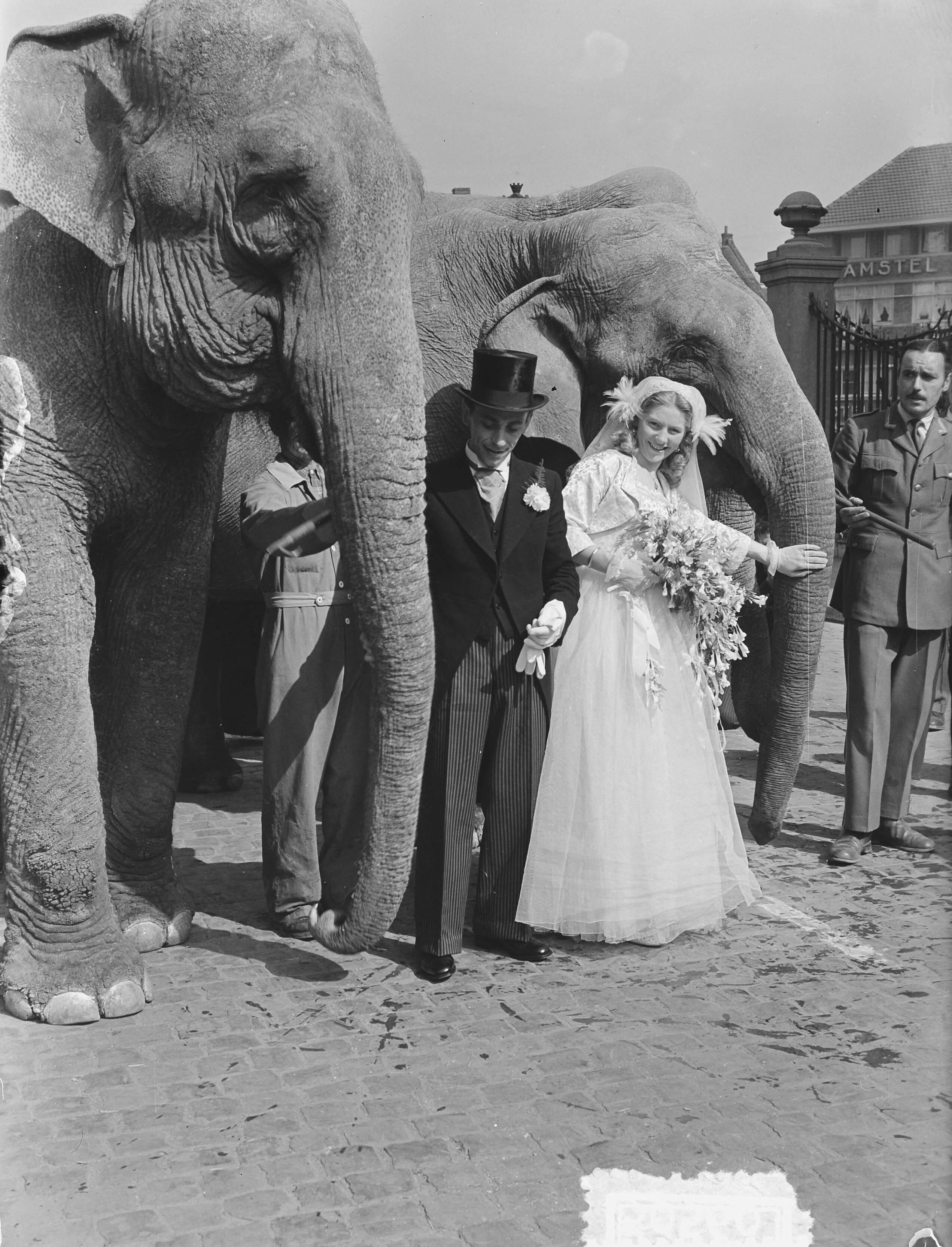 Fotocollectie Anefo — Circus-huwelijk te Maastricht .José Mullens werd de vrouw van Henry Strassburger. — Foto: Pot, Harry / Anefo. Licentie: Set B: Rechtenvrij / Publiek Domein. Bron: Nationaal Archief. http://hdl.handle.net/10648/a8f81744-d0b4-102d-bcf8-003048976d84