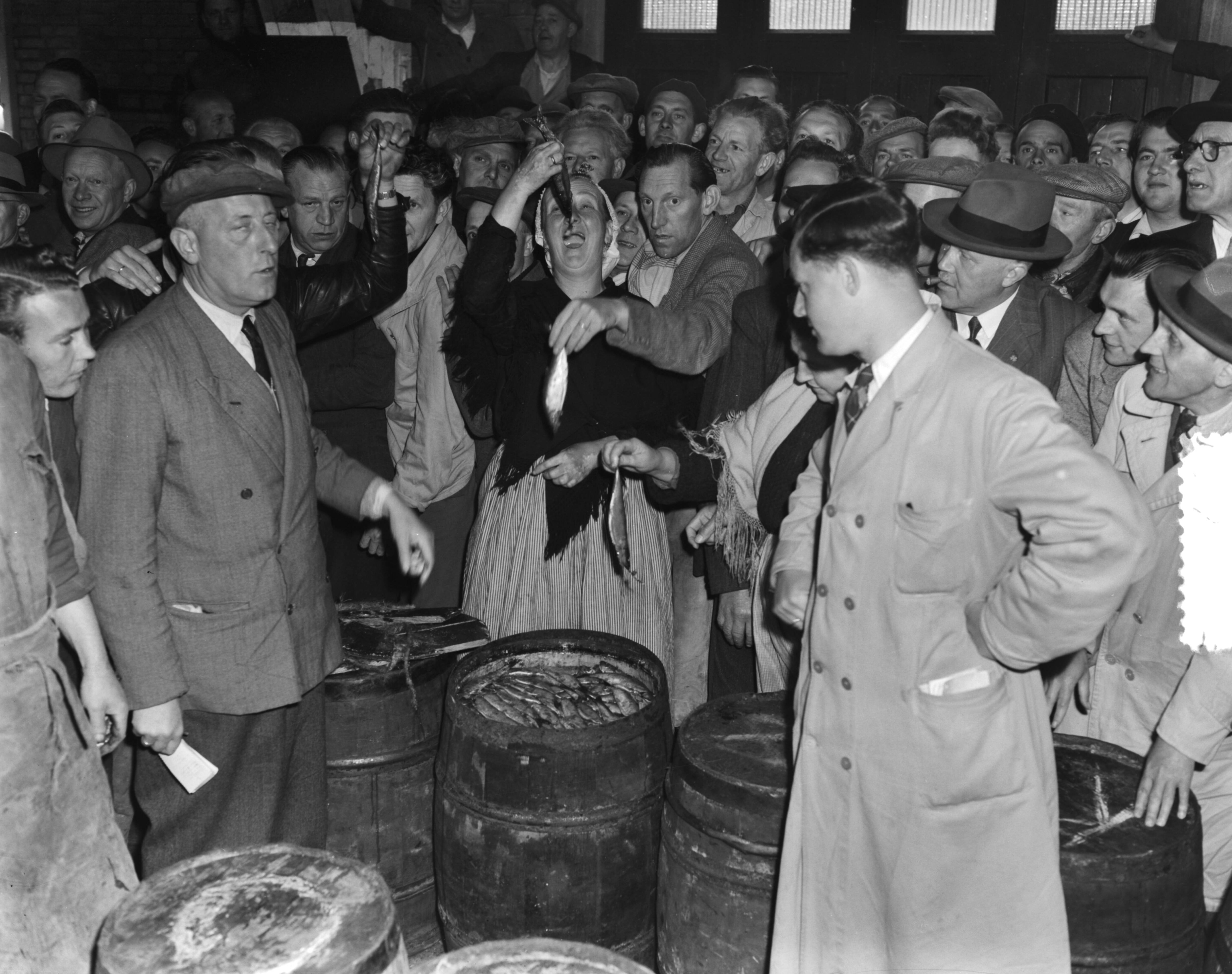 Fotocollectie Anefo — Eerste haringaanvoer in IJmuiden door de Katwijk 29. Even proeven — Foto: Duinen, G.W. van / Anefo. Licentie: Set B: Rechtenvrij / Publiek Domein. Bron: Nationaal Archief. http://hdl.handle.net/10648/a90cd24c-d0b4-102d-bcf8-003048976d84