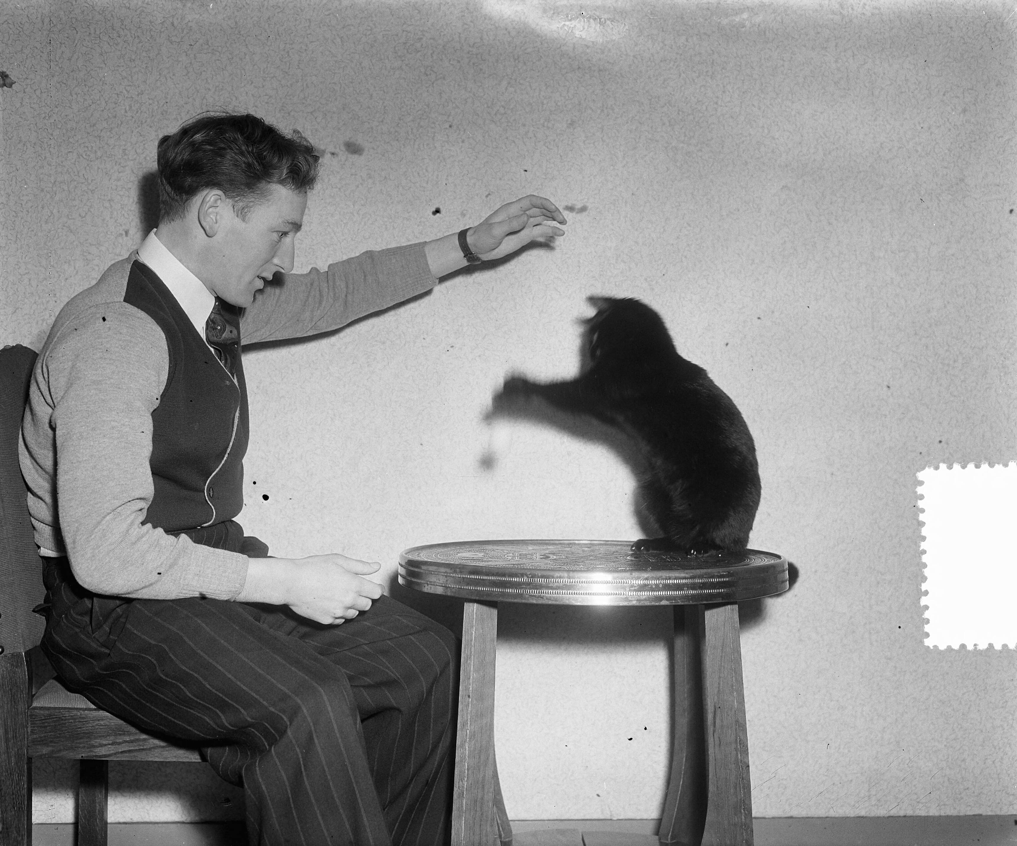 Reportage voetballer Louis Biesbrouck — Voetballer Louis Biesbrouck thuis in Haarlem. Speelt met de kat — Foto: Duinen, H. van / Anefo. Licentie: Set B: Rechtenvrij / Publiek Domein. Bron: Nationaal Archief. http://hdl.handle.net/10648/a8f4a12c-d0b4-102d-bcf8-003048976d84