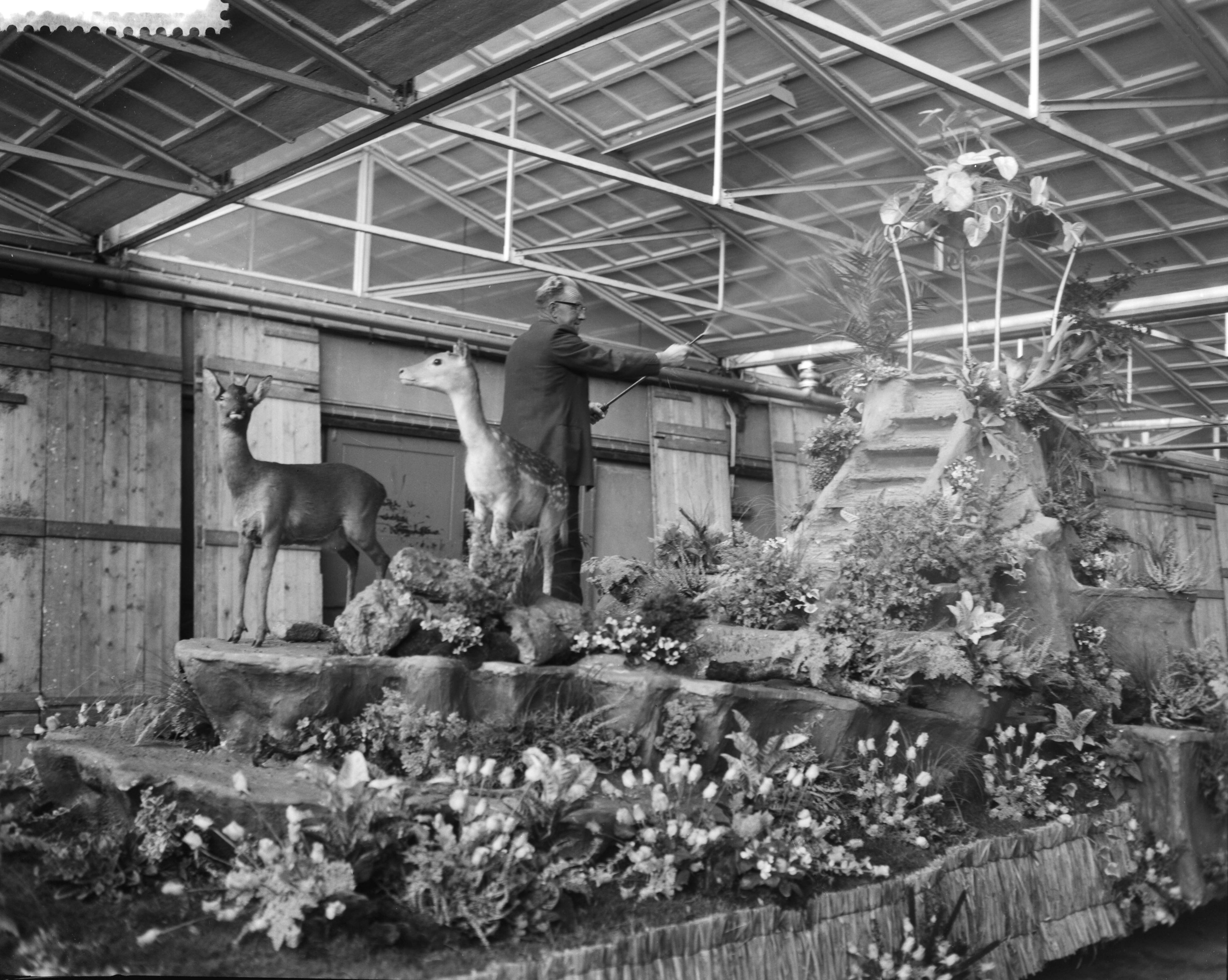 Fotocollectie Anefo — Praalwagens worden opgesierd in de Aalsmeerder veilinghallen voor het bloemencorso — Foto: Bilsen, Joop van / Anefo. Licentie: Set B: Rechtenvrij / Publiek Domein. Bron: Nationaal Archief. http://hdl.handle.net/10648/a9b845a0-d0b4-102d-bcf8-003048976d84