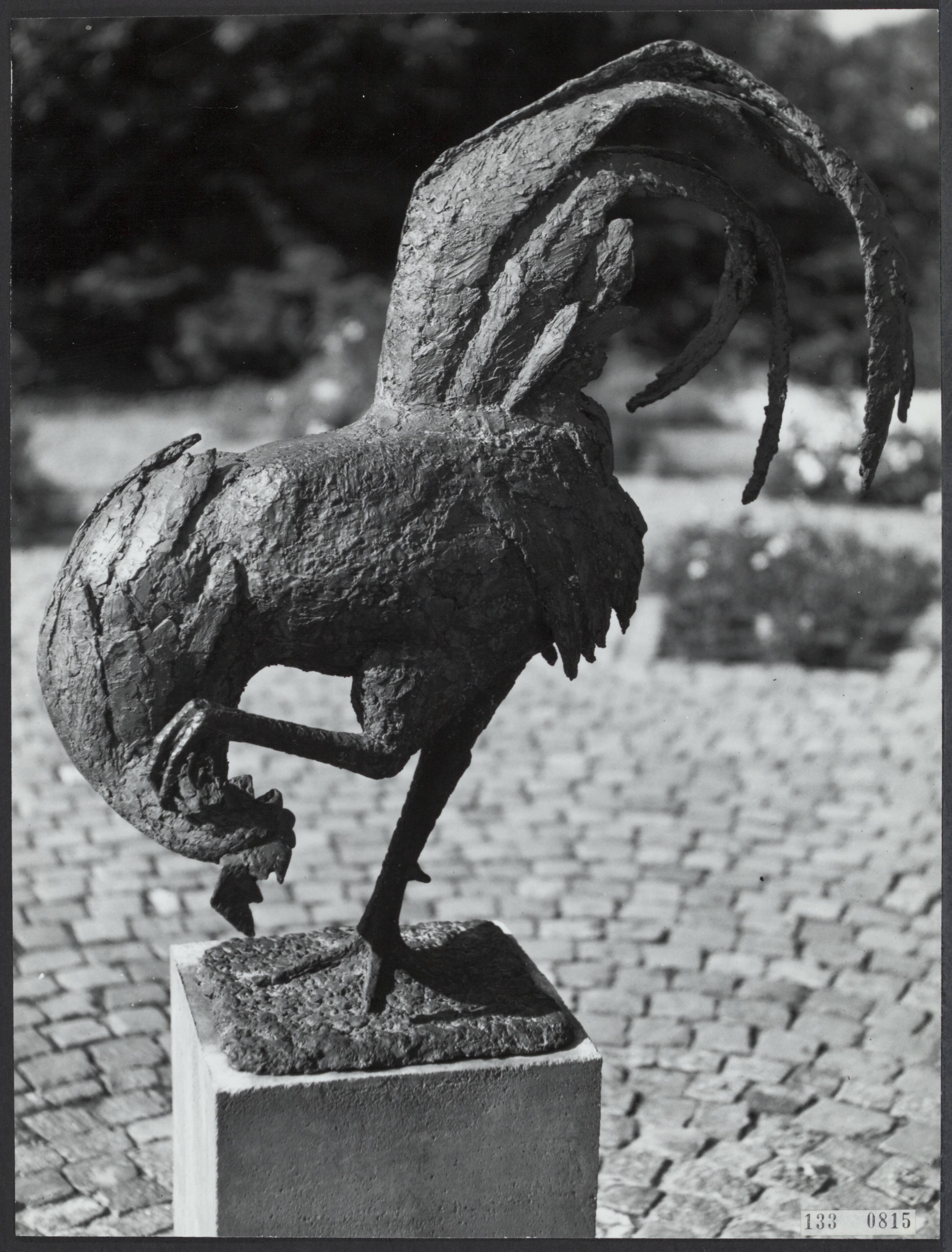 Fotocollectie Rijksvoorlichtingsdienst Eigen — Den Haag.Westbroekpark: bronzen haan van de beeldhouwster Jos van Riemsdijk — Foto: Fotodienst Gemeente Den Haag. Licentie: Set B: Rechtenvrij / Publiek Domein. Bron: Nationaal Archief. http://hdl.handle.net/10648/af5a9f58-d0b4-102d-bcf8-003048976d84