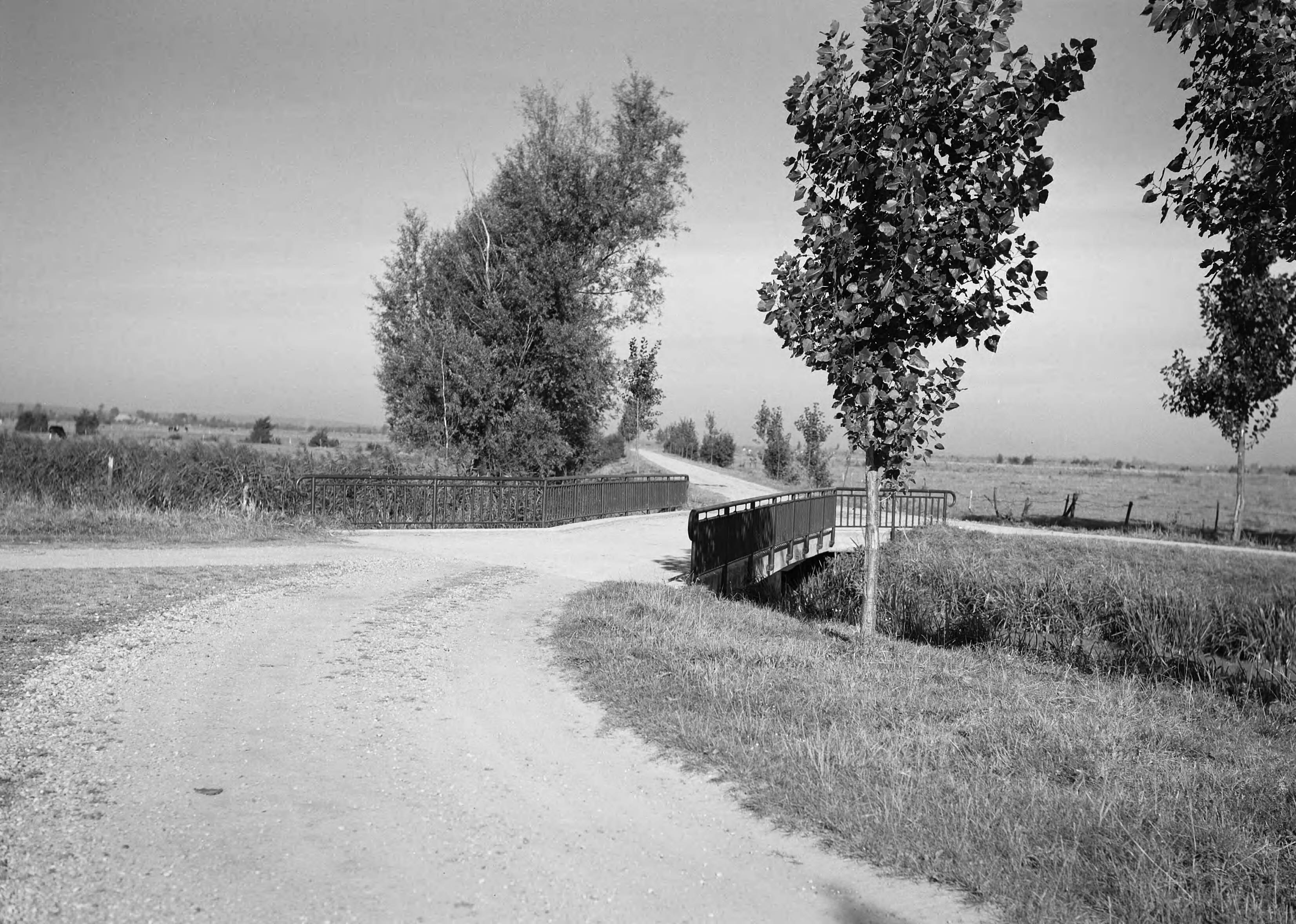 Fotocollectie Nederlandse Heidemaatschappij — Brug in de ruilverkaveling Veenendaal — Foto: Fotograaf Onbekend / Heidemij. Licentie: Set B: Rechtenvrij / Publiek Domein. Bron: Nationaal Archief. http://hdl.handle.net/10648/ae737b50-d0b4-102d-bcf8-003048976d84