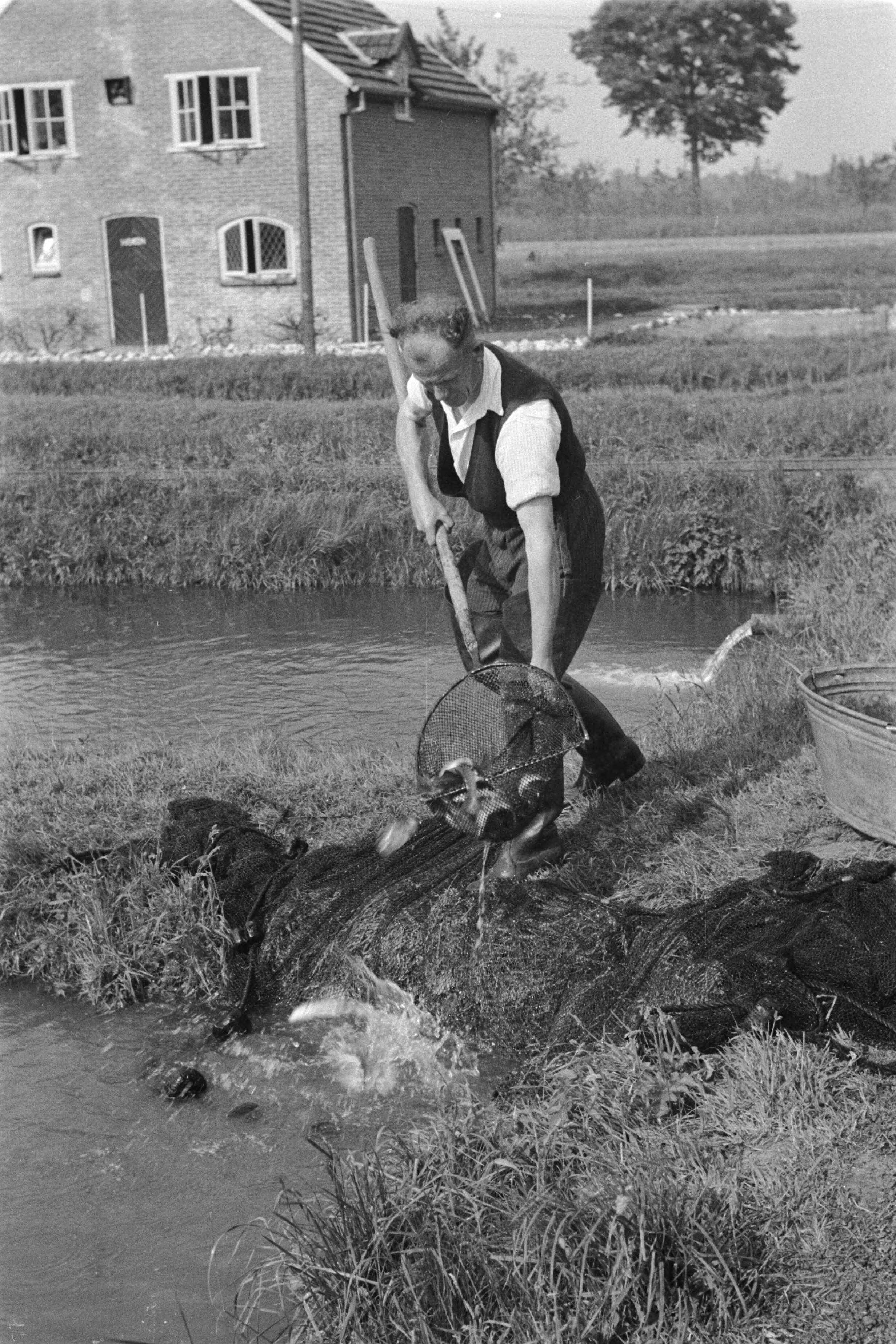 Fotocollectie Nederlandse Heidemaatschappij — Gulpen|visserij |viskwekerijen |forellenvijvers |forellenzegen — Foto: Fotograaf Onbekend / Heidemij. Licentie: Set B: Rechtenvrij / Publiek Domein. Bron: Nationaal Archief. http://hdl.handle.net/10648/ae89ef8e-d0b4-102d-bcf8-003048976d84