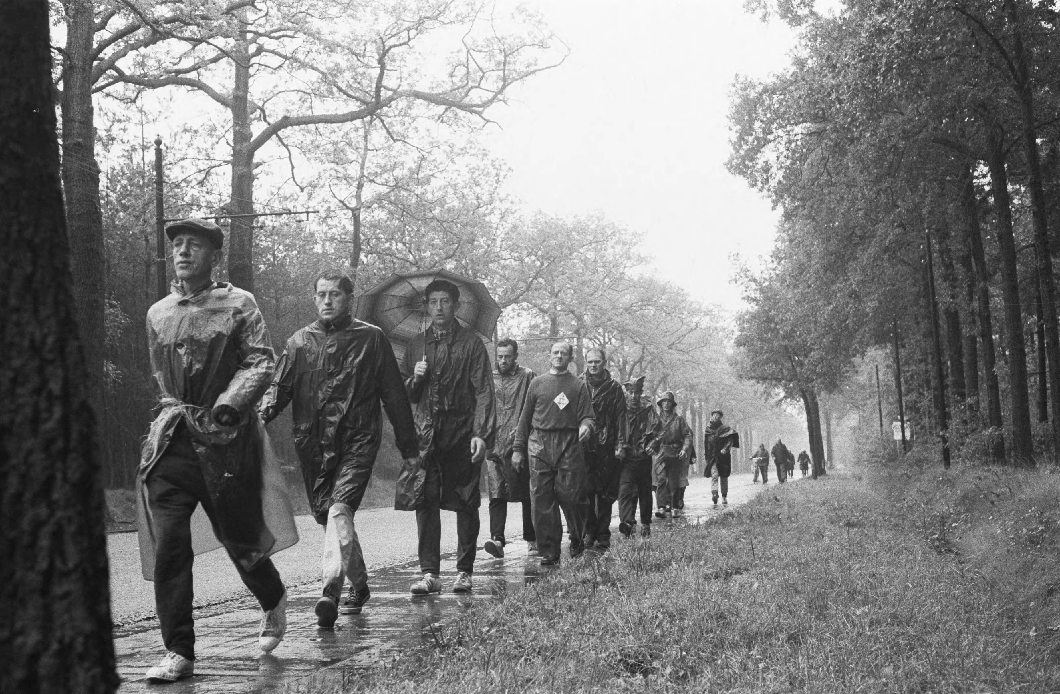 Fotocollectie Anefo — Wandelmars Parijs-Amsterdam, de groep deelnemers weer op eigen bodem in de buurt van Zundert — Foto: Pot, Harry / Anefo. Licentie: Set B: Rechtenvrij / Publiek Domein. Bron: Nationaal Archief. http://hdl.handle.net/10648/aa7e4ff2-d0b4-102d-bcf8-003048976d84