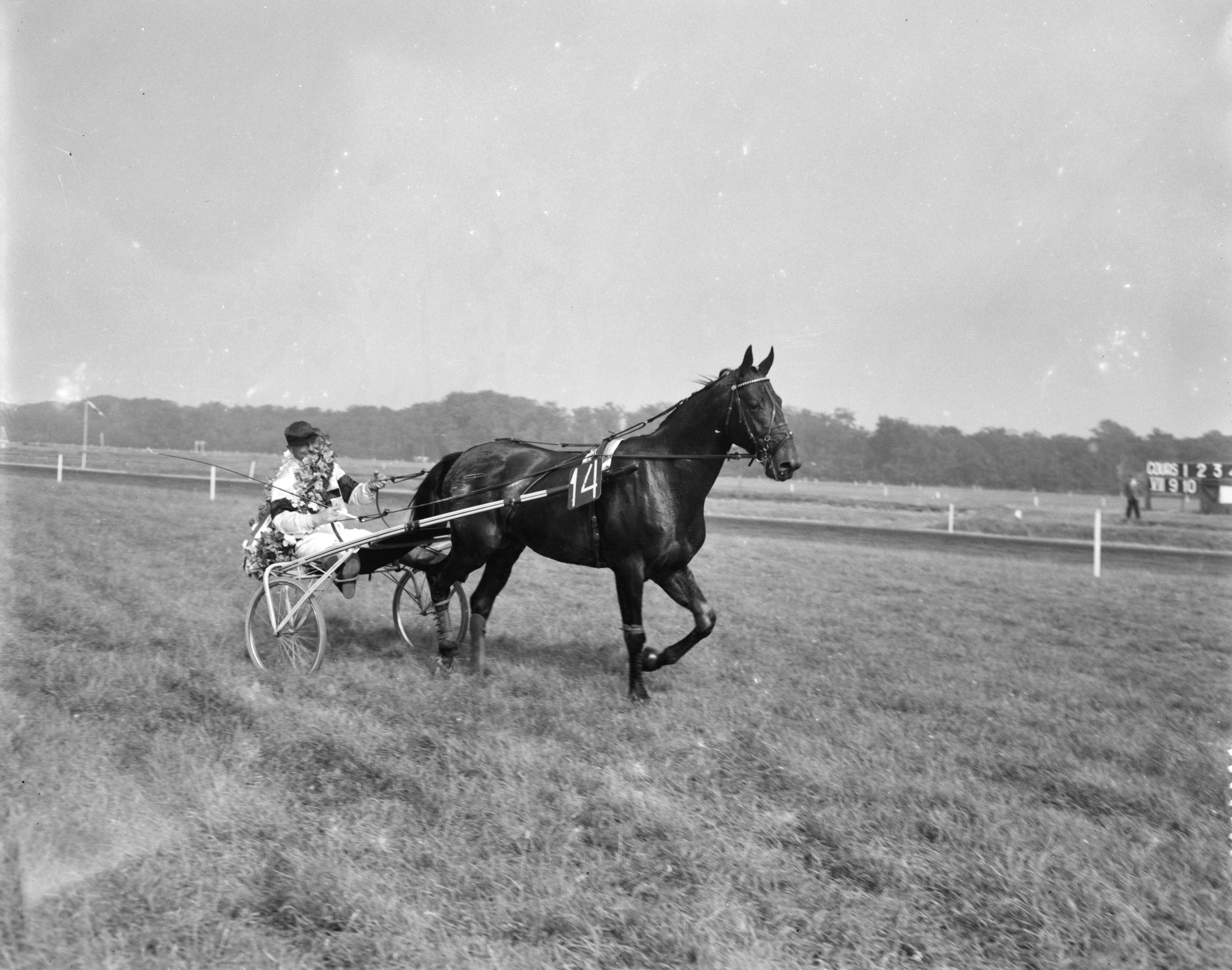 Fotocollectie Anefo — Draverijen op Duindigt. Franse hengst Icare IV met pikeur Henri Levesque, winnaars van de Grote Prijs der Lage Landen — Foto: Behrens, Herbert F. / Anefo. Licentie: Set B: Rechtenvrij / Publiek Domein. Bron: Nationaal Archief. http://hdl.handle.net/10648/a97f6c26-d0b4-102d-bcf8-003048976d84