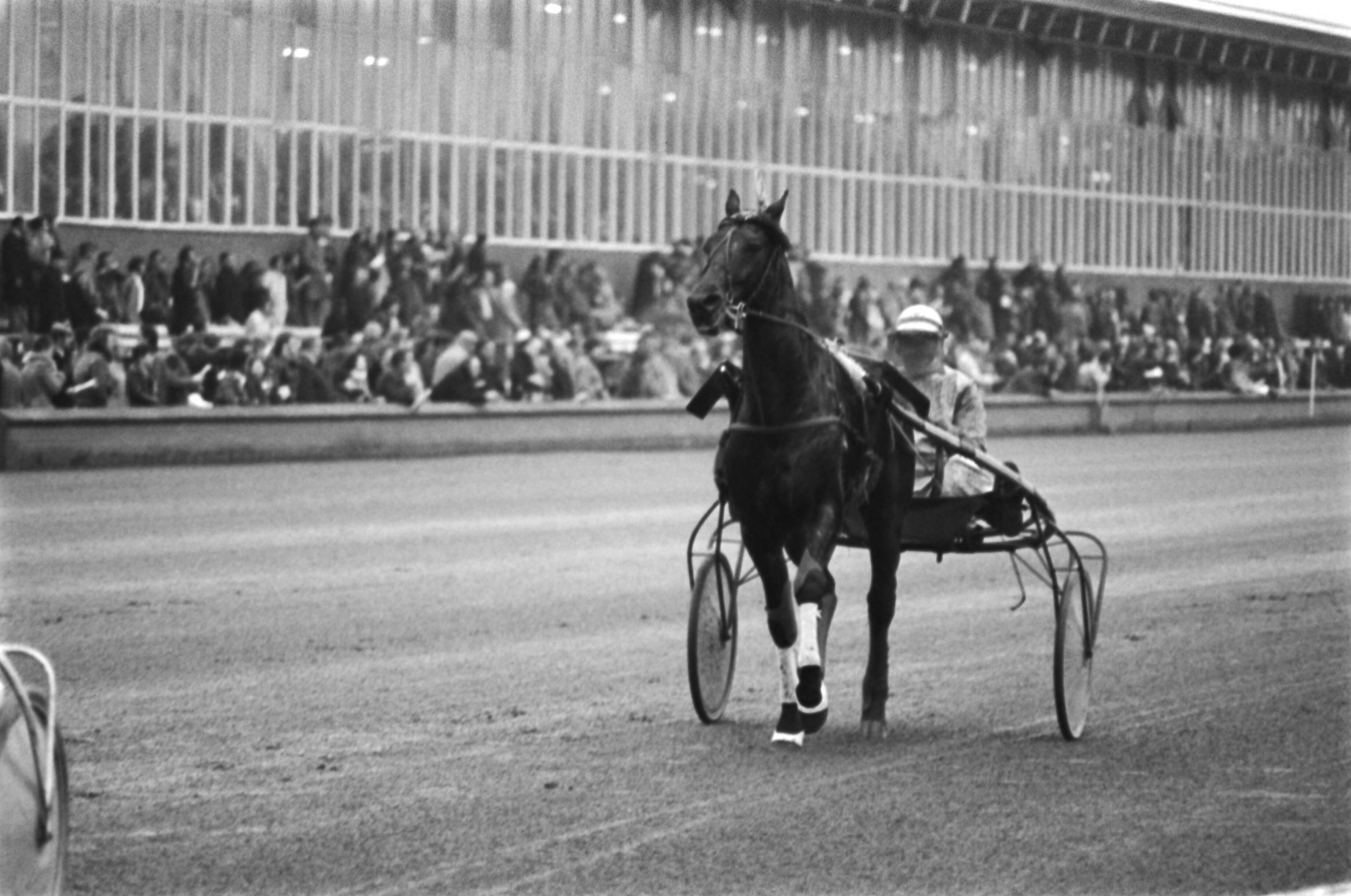 Fotocollectie Anefo — Grote Kerstprijs op renbaan Hilversum; Kees Verkerk wint met groot verschil — Foto: Peters, Hans / Anefo. Licentie: Set B: Rechtenvrij / Publiek Domein. Bron: Nationaal Archief. http://hdl.handle.net/10648/aca911cc-d0b4-102d-bcf8-003048976d84