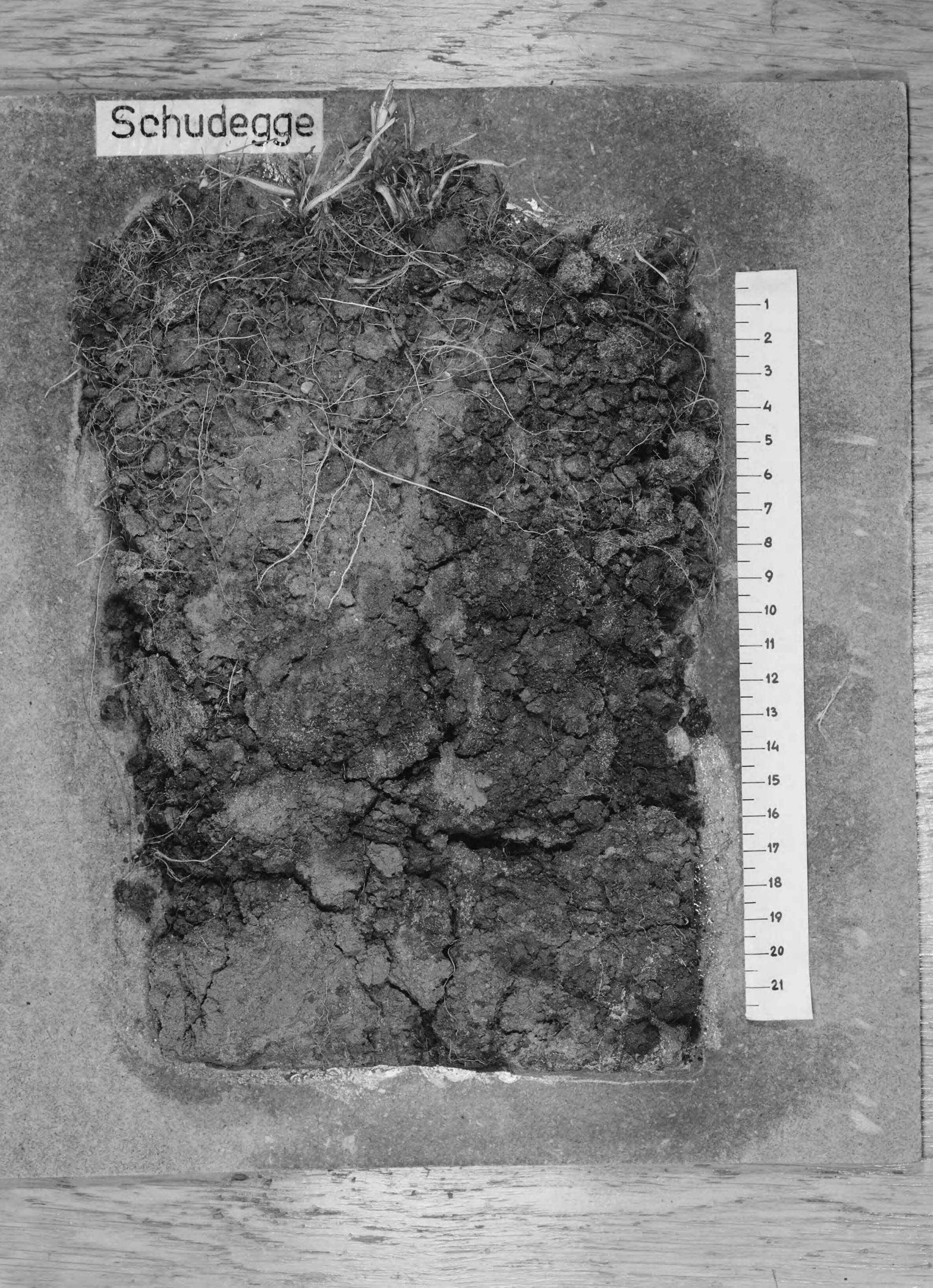 Fotocollectie Nederlandse Heidemaatschappij — Zware zeeklei verschraald met 14cm wadzand, sportveld Nylan Leeuwarden. Met behulp van de schudegge is het zand enigzins gemengd met de er onderliggende klei. Resultaat koplaag blijft mooi zandig — Foto: Wüllschleger, [...] / Heidemij. Licentie: Set B: Rechtenvrij / Publiek Domein. Bron: Nationaal Archief. http://hdl.handle.net/10648/ae6bb988-d0b4-102d-bcf8-003048976d84
